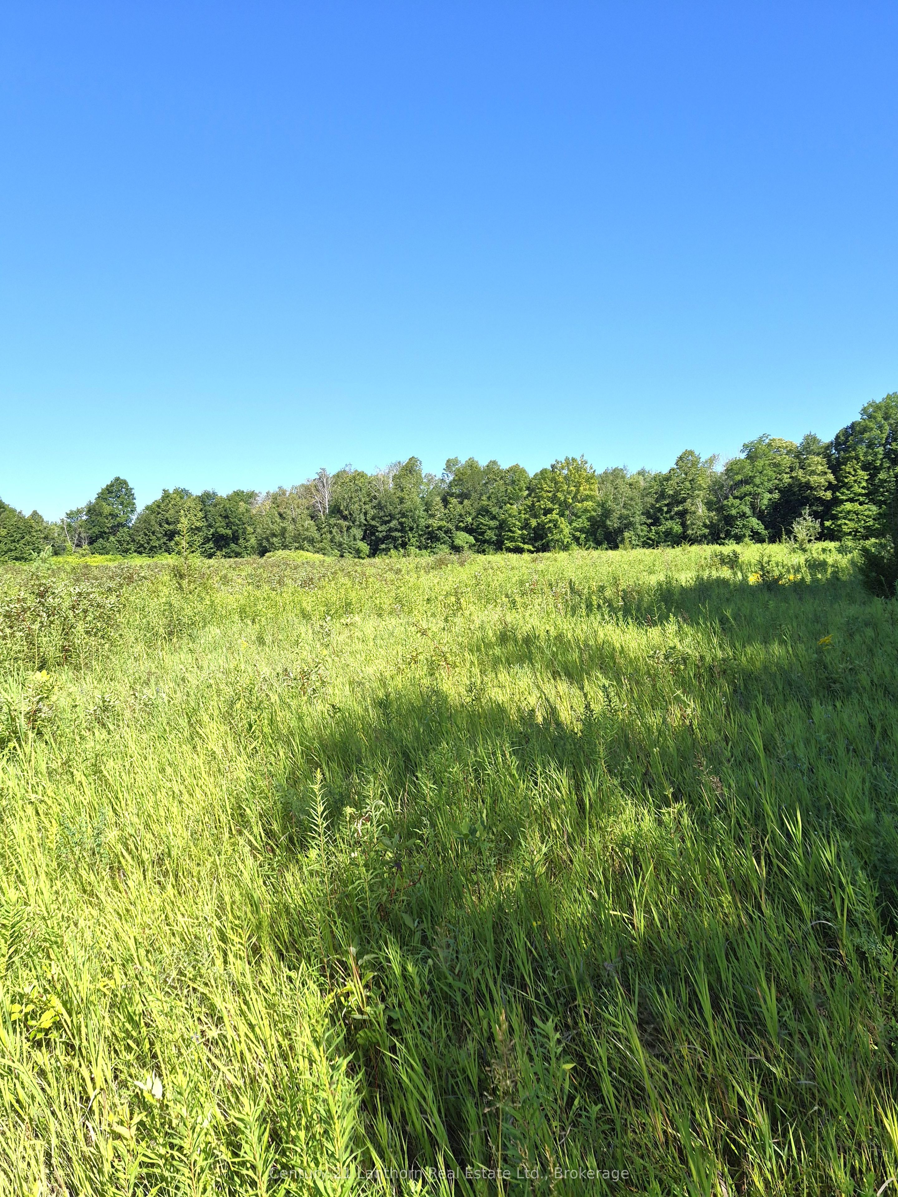 448 Harrington Road Property Photo 38