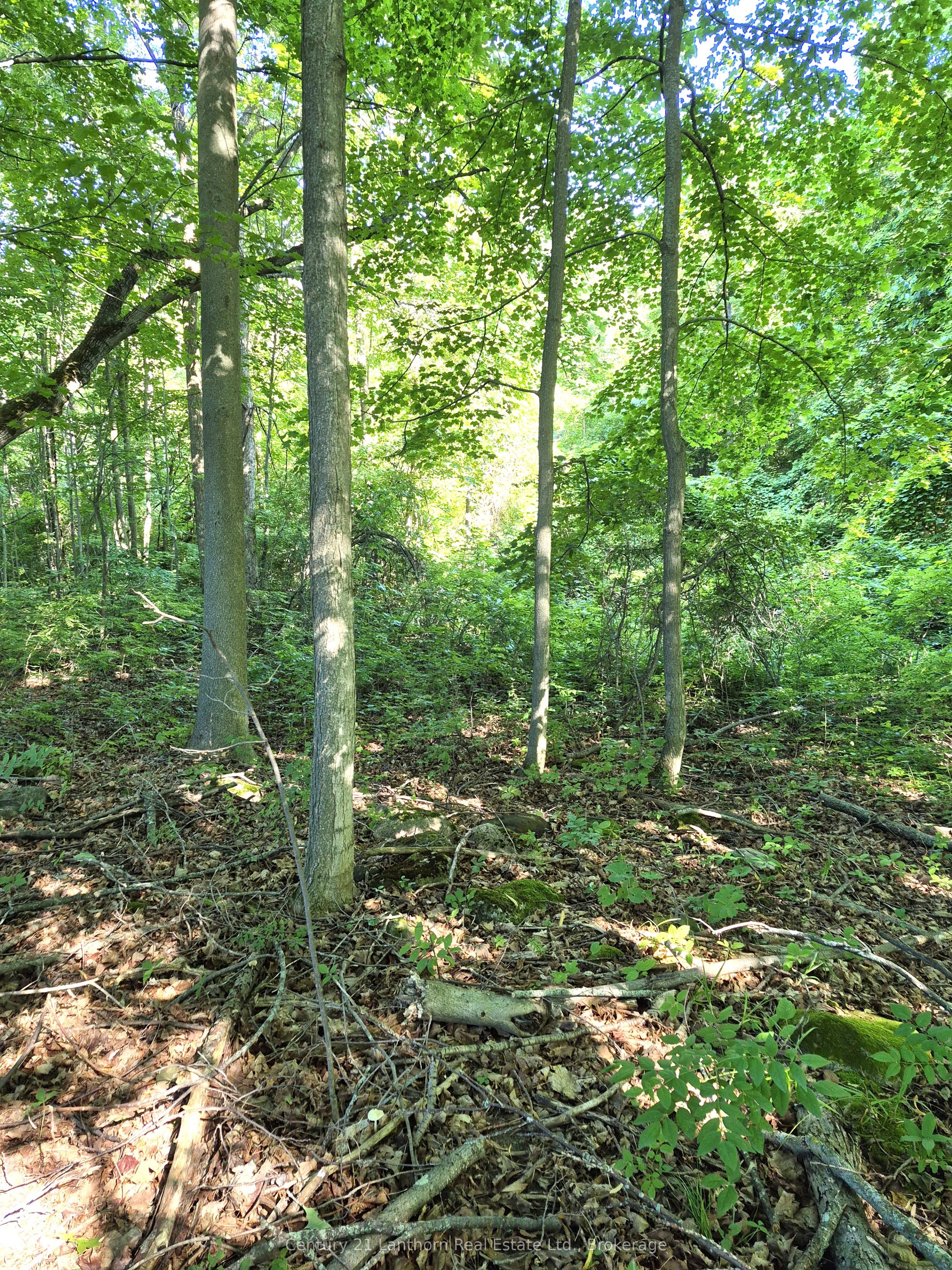448 Harrington Road Property Photo 39