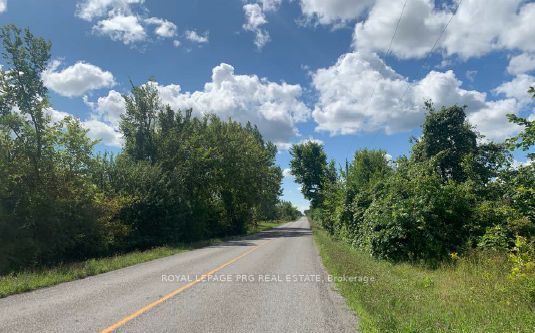 9858 Nichols Lane Property Photo 3