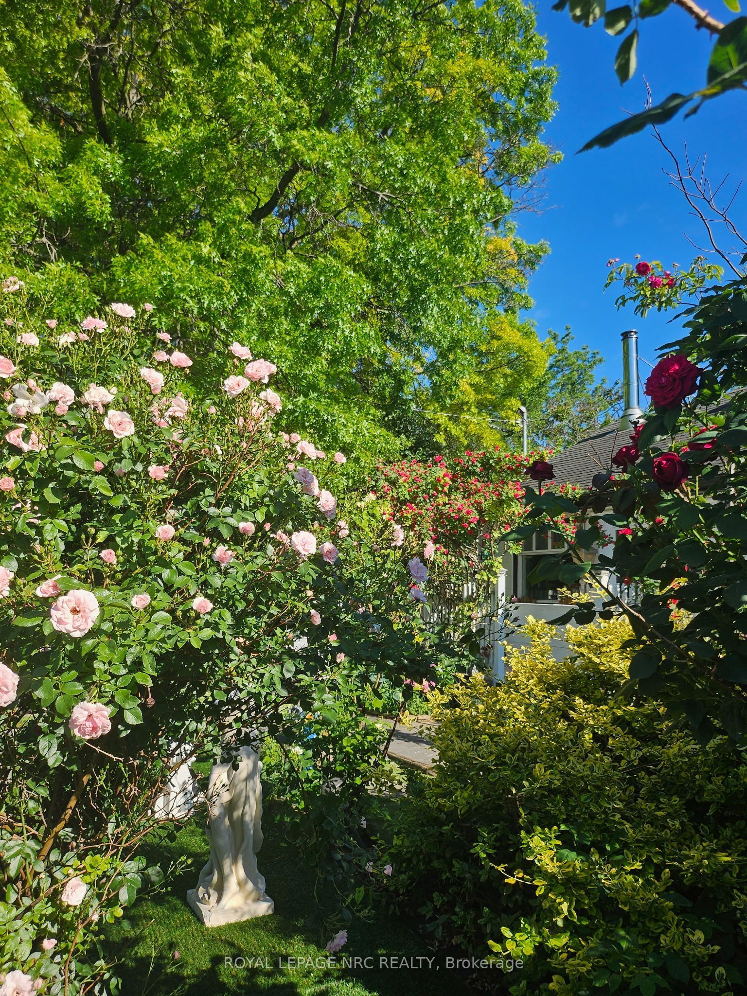7 Vera Street Property Photo 2