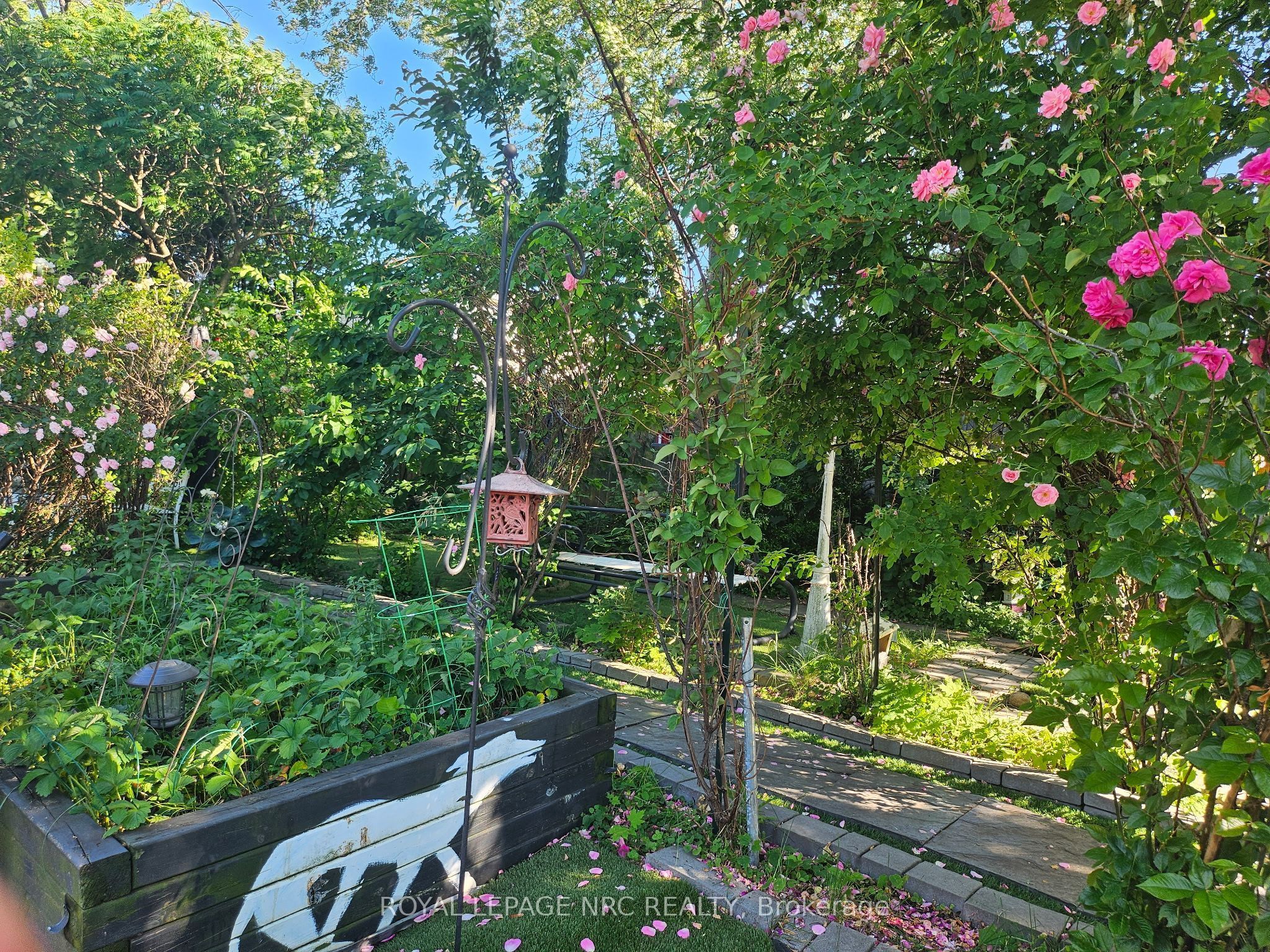 7 Vera Street Property Photo 31