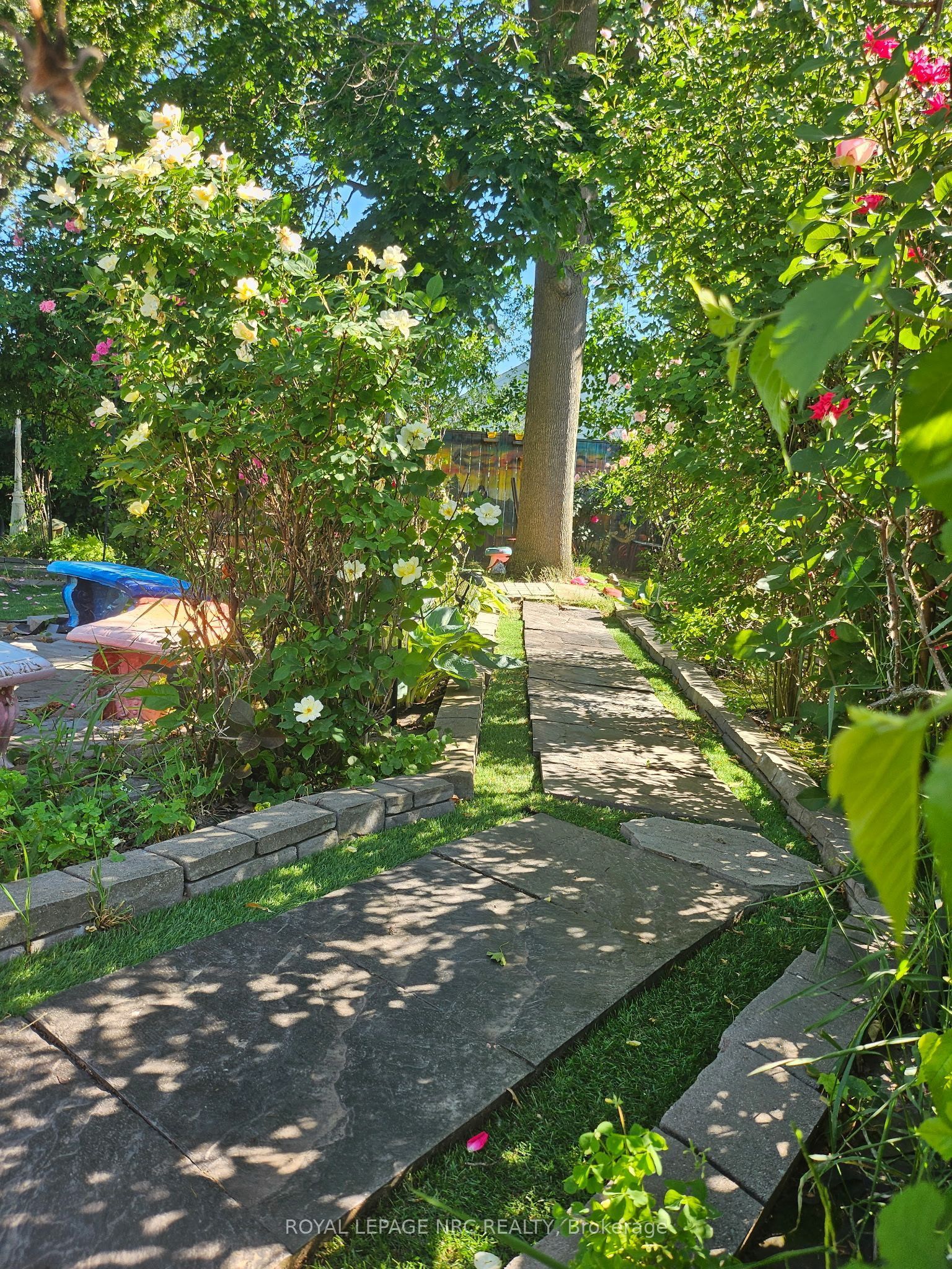 7 Vera Street Property Photo 35