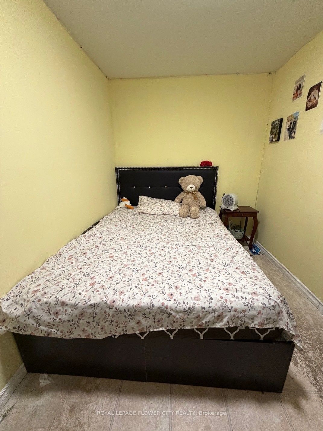 7 Hearst Street Property Photo 9