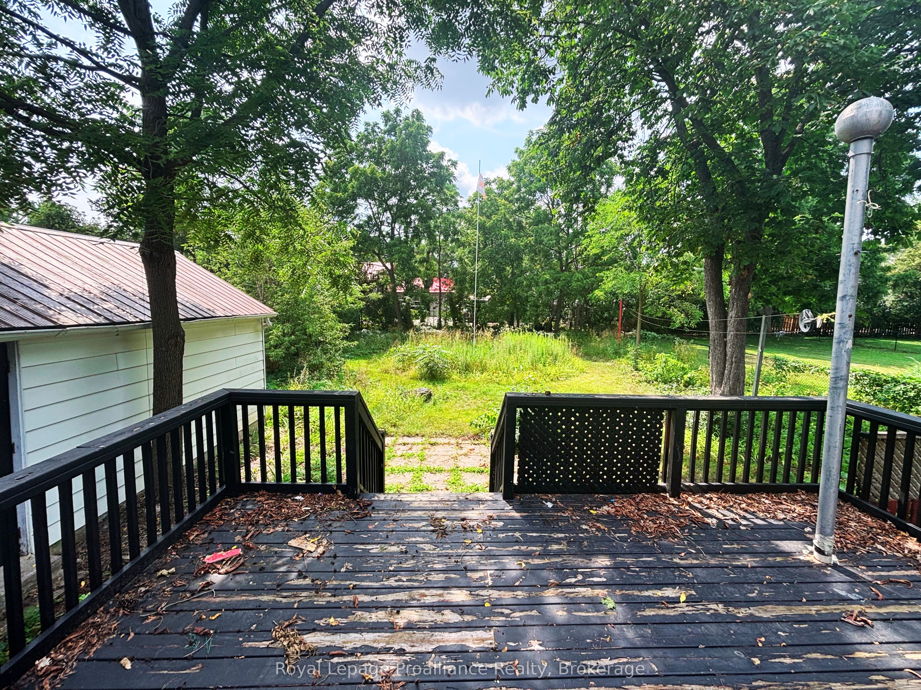 18 Ritchie Avenue Property Photo 19