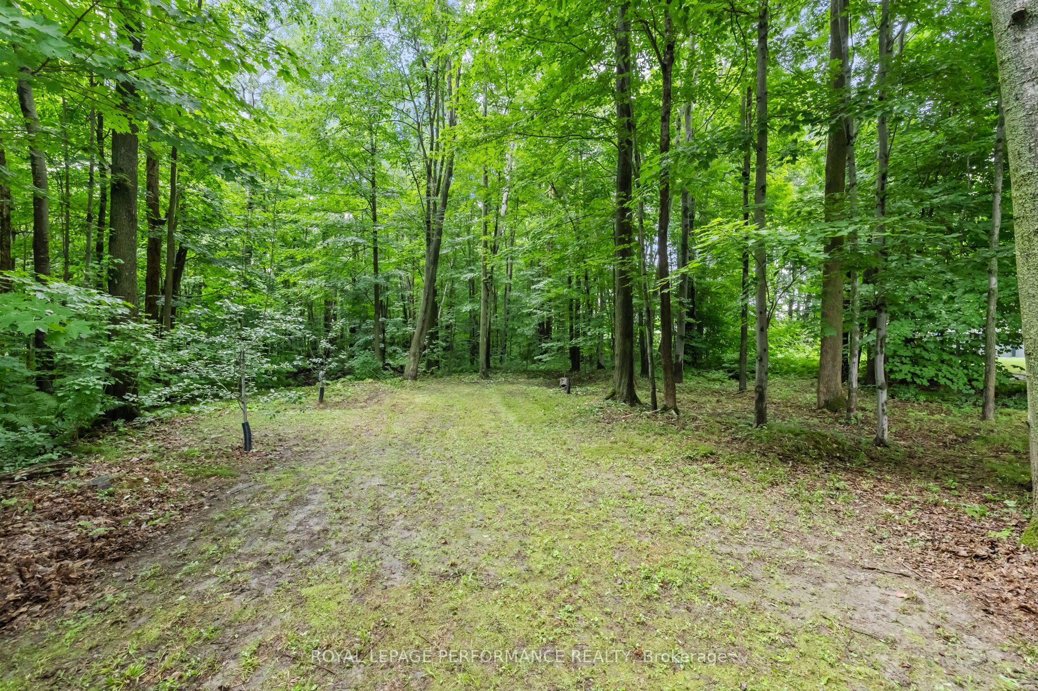 115 Larose Lane Property Photo 44
