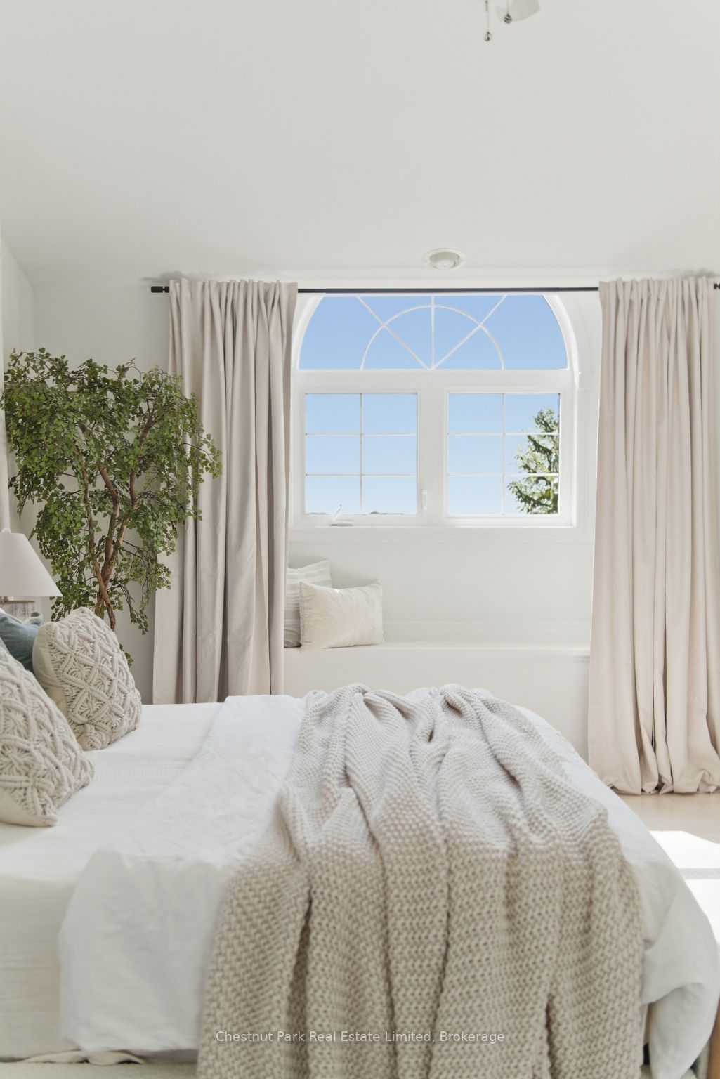 50 Tipperary Road Property Photo 26