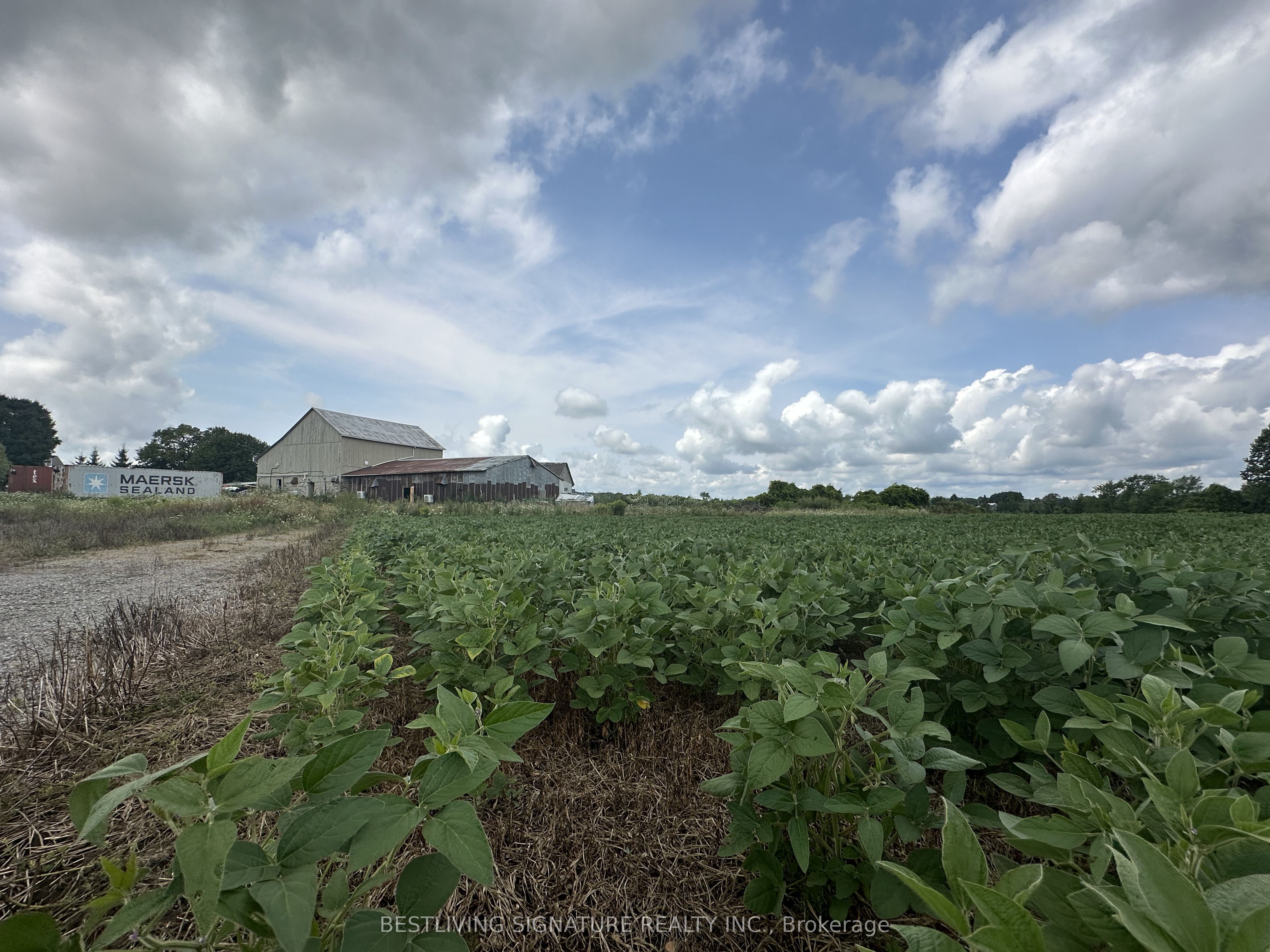 3752 Elm Tree Road Property Photo 5