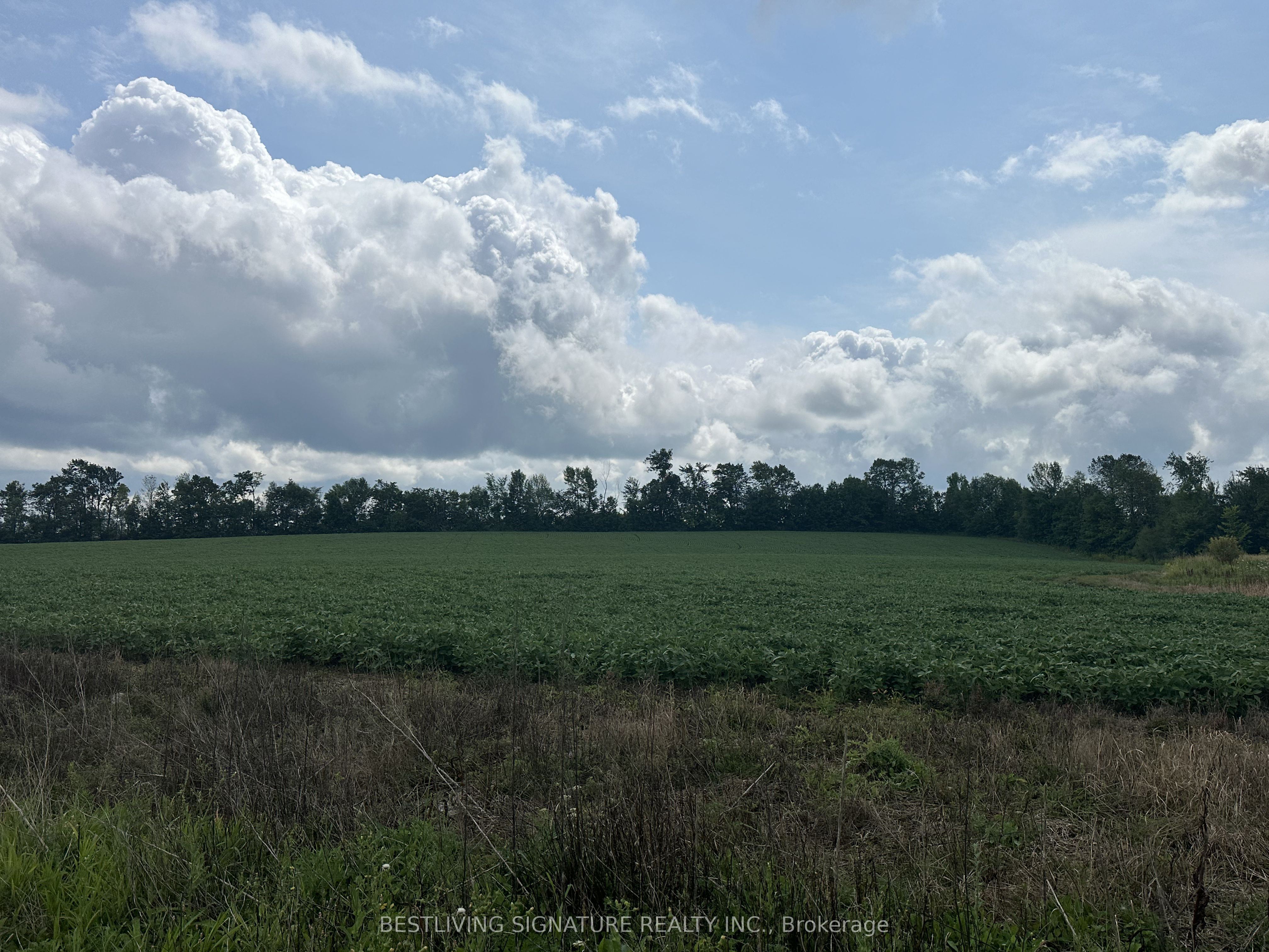 3752 Elm Tree Road Property Photo 6