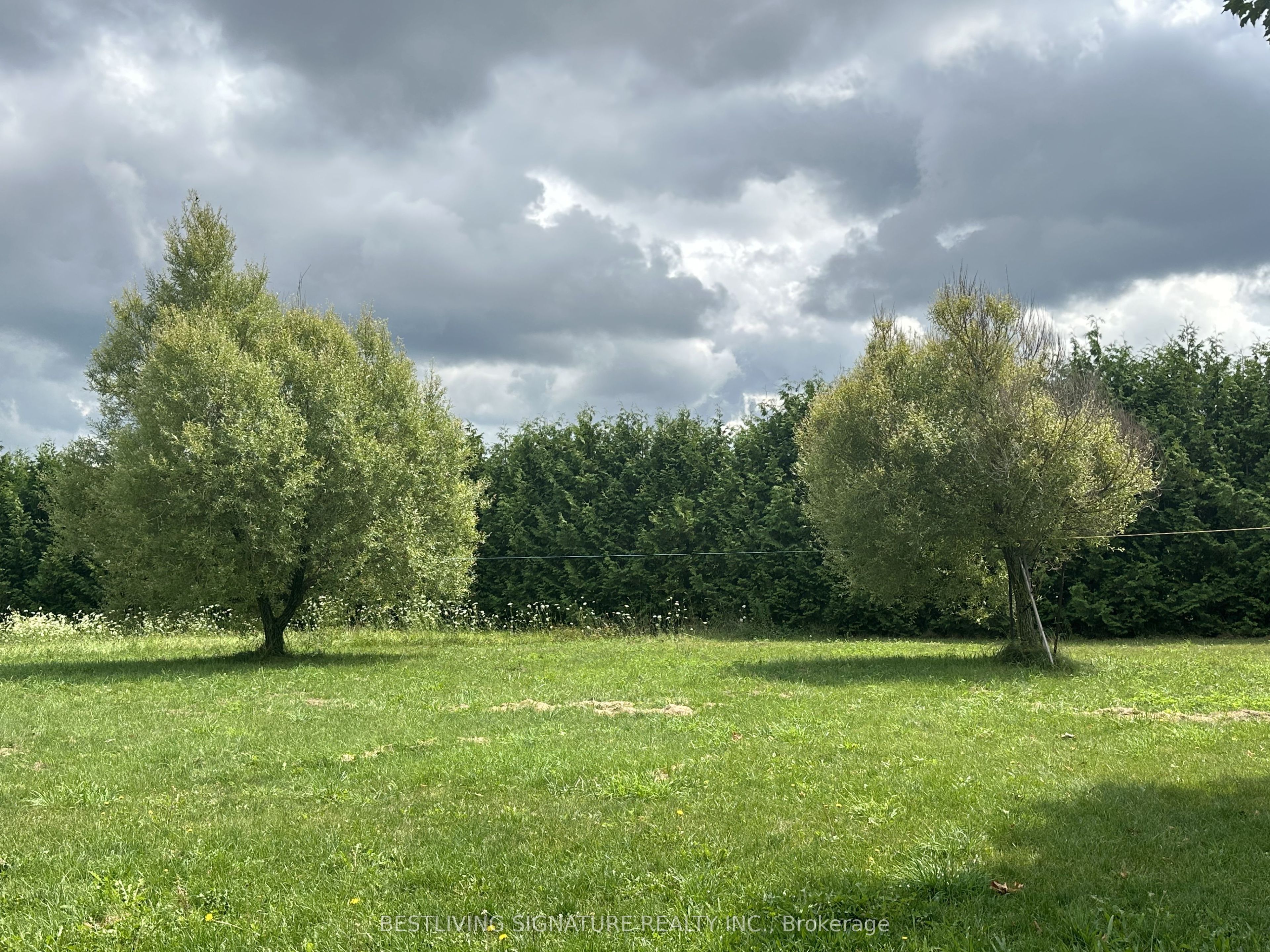 3752 Elm Tree Road Property Photo 18