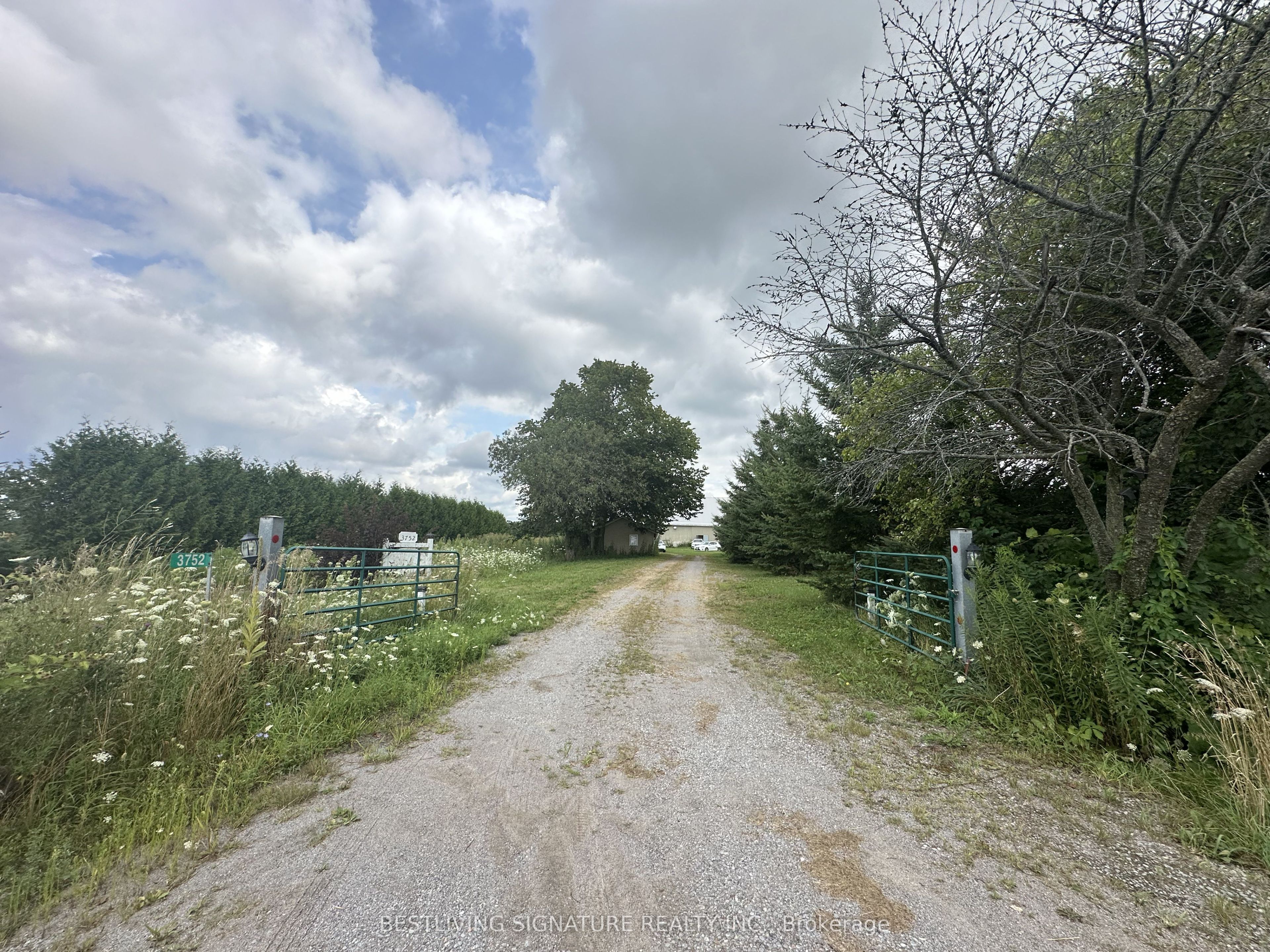 3752 Elm Tree Road Property Photo 25