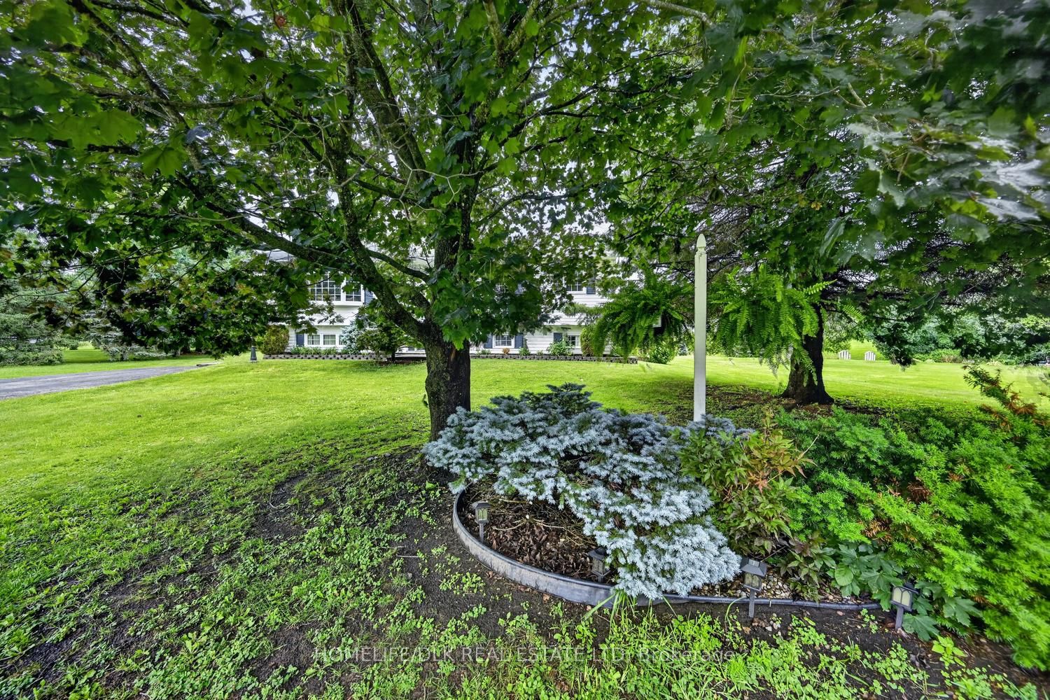 6 Kimberley Crescent Property Photo 3