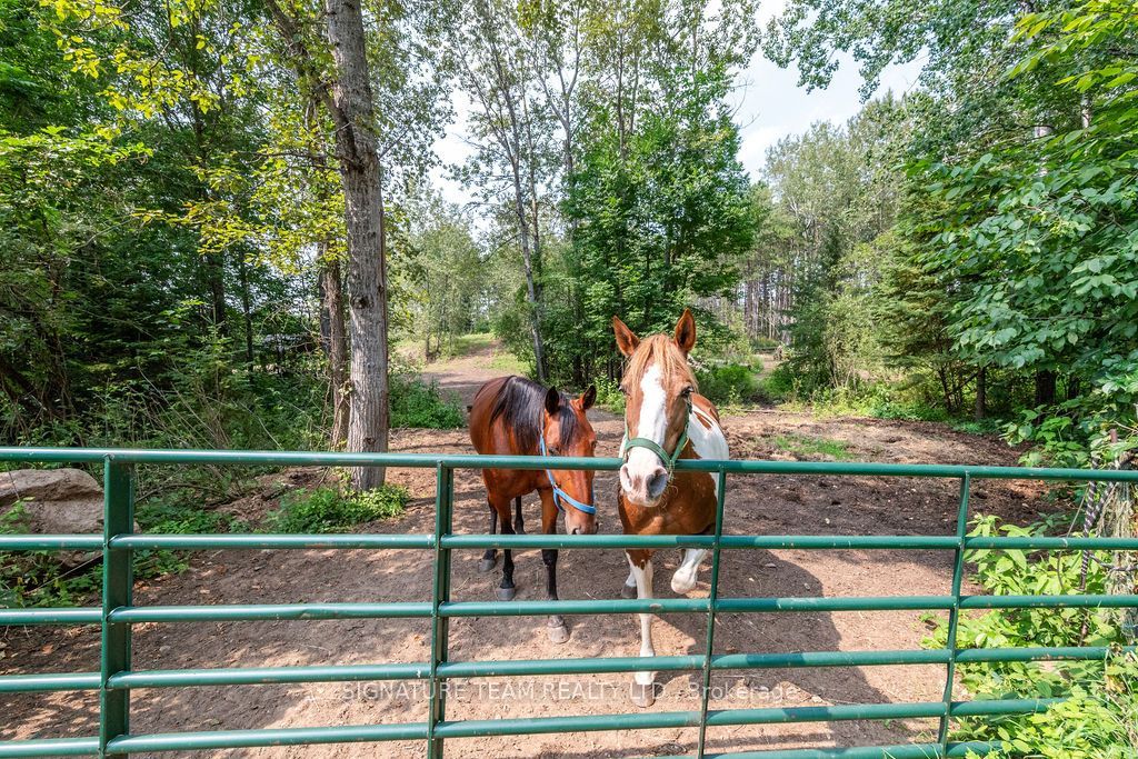 538 Lenser Road Property Photo 34