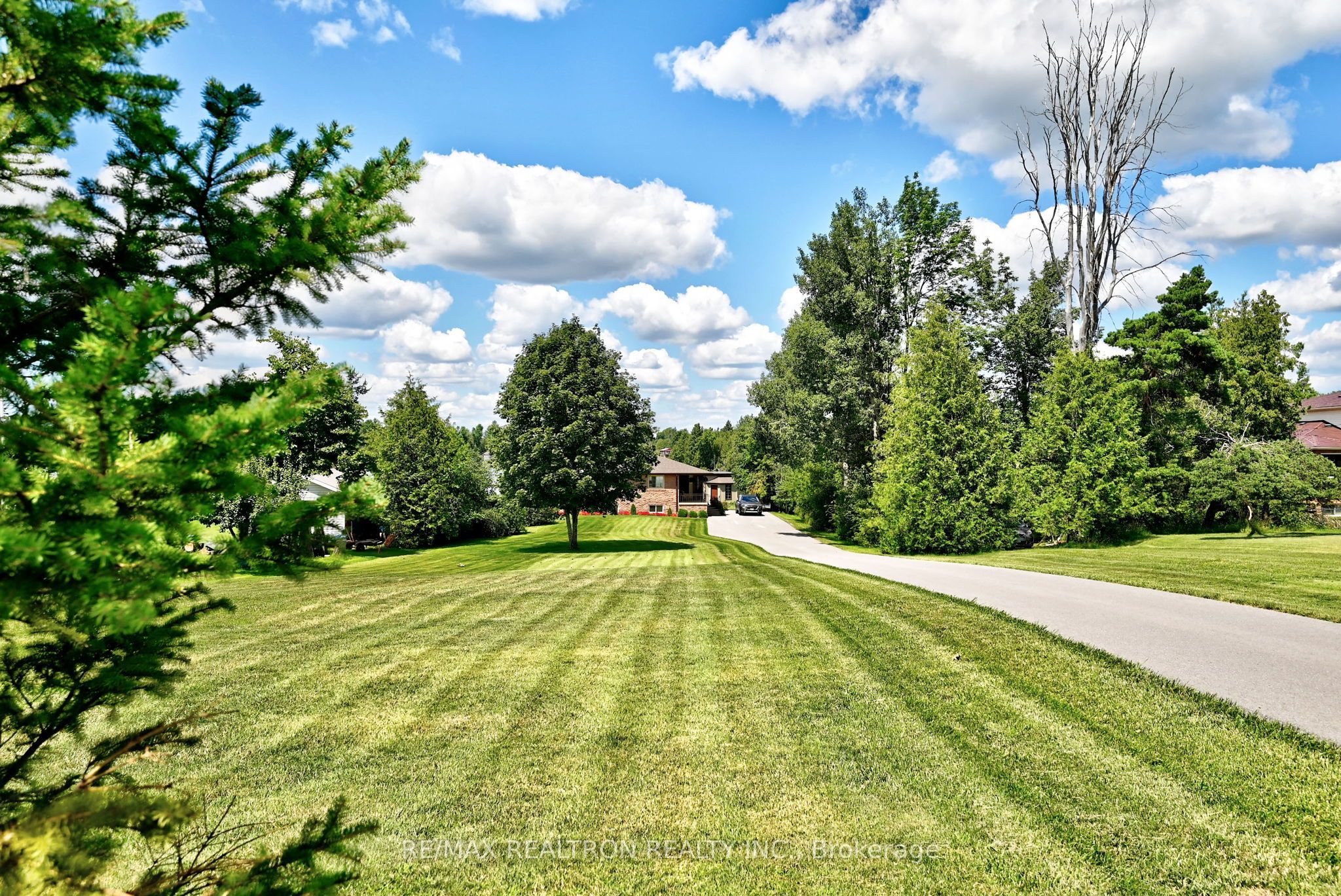 53 Robinson Avenue Property Photo 6