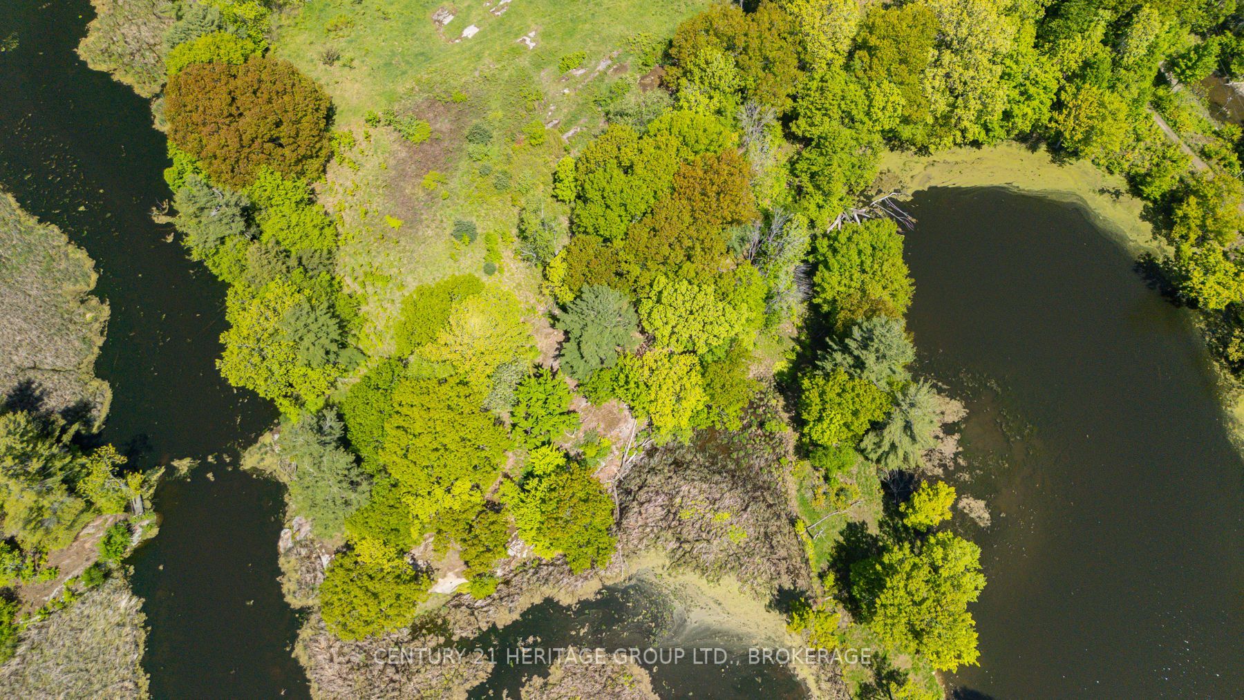 Lot 14 Ormsbee Road Property Photo 16
