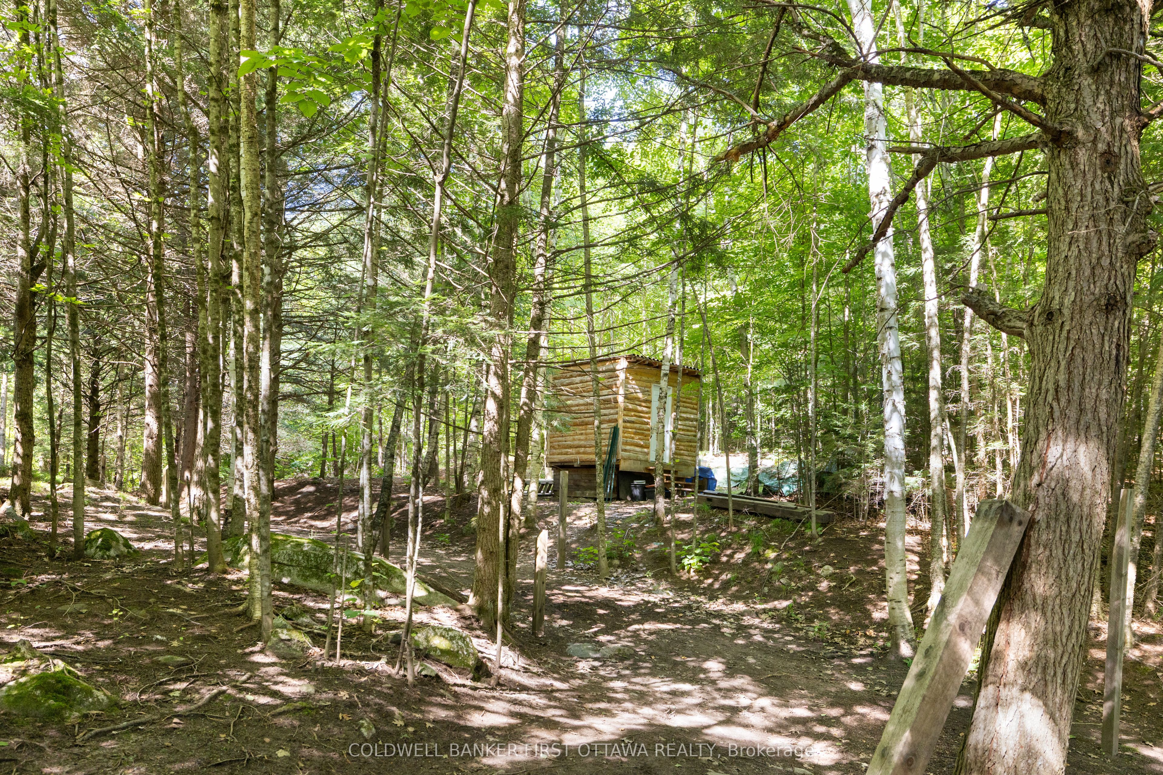 24163 Highway 7 Highway Property Photo 29