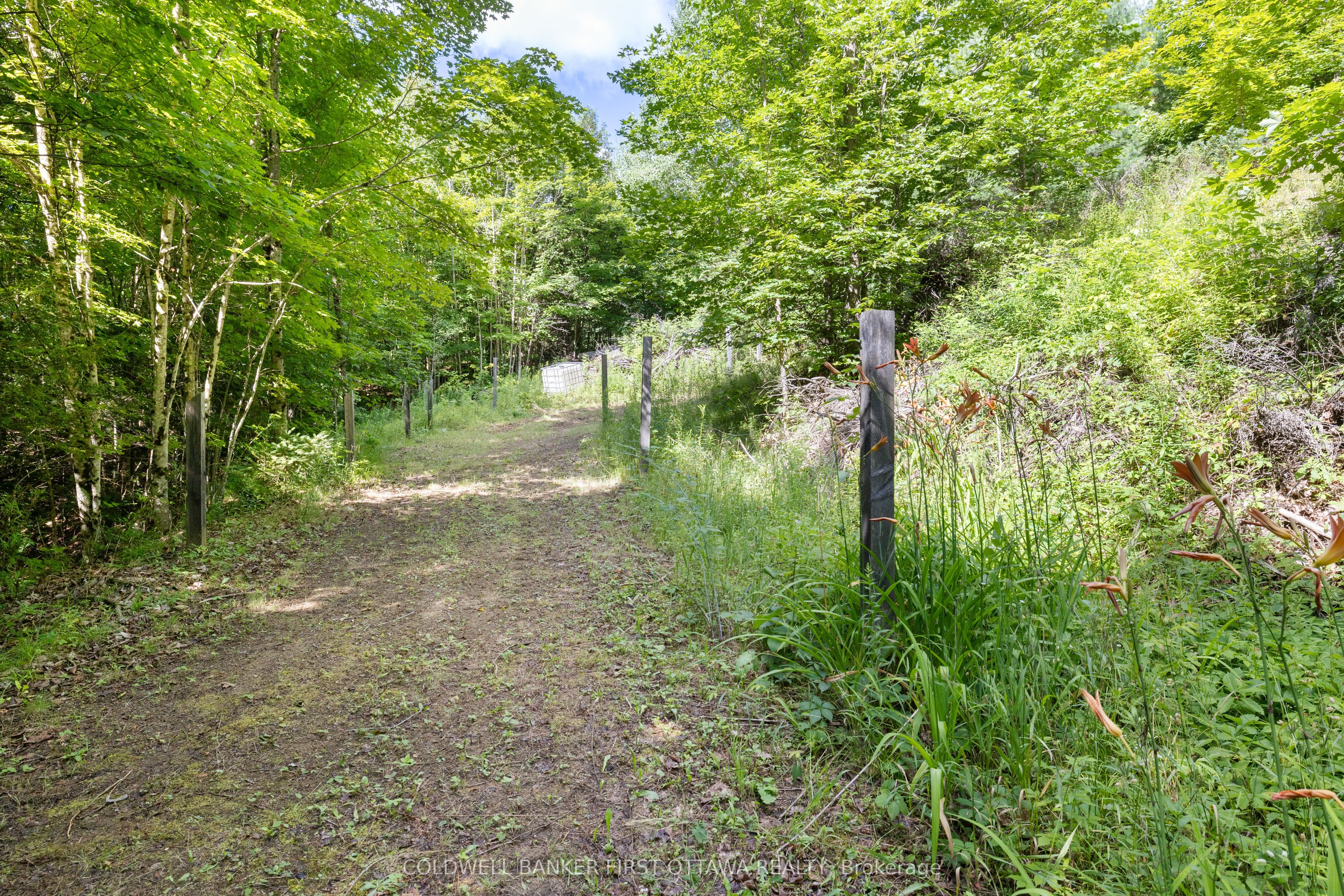 24163 Highway 7 Highway Property Photo 34