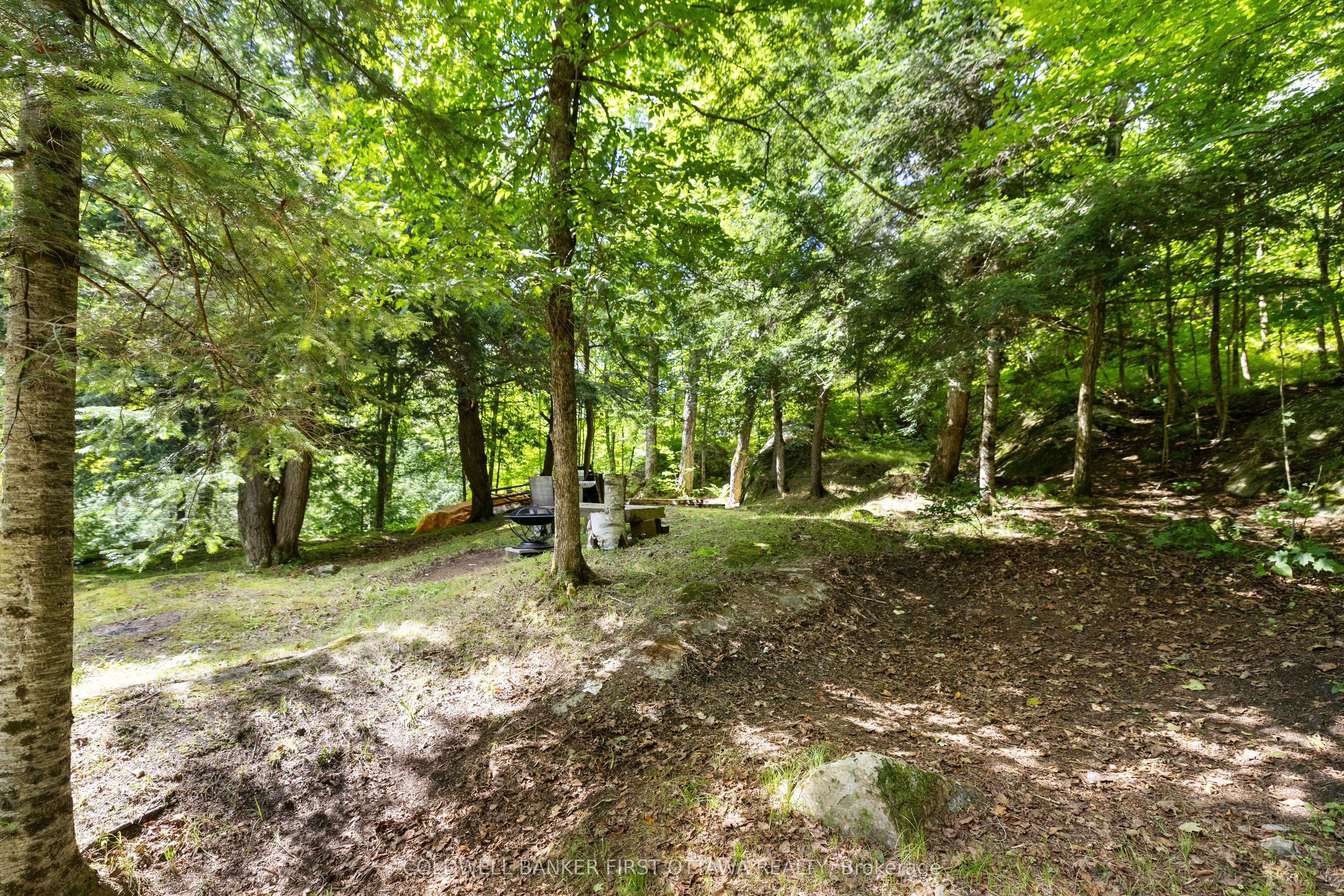 24163 Highway 7 Highway Property Photo 42