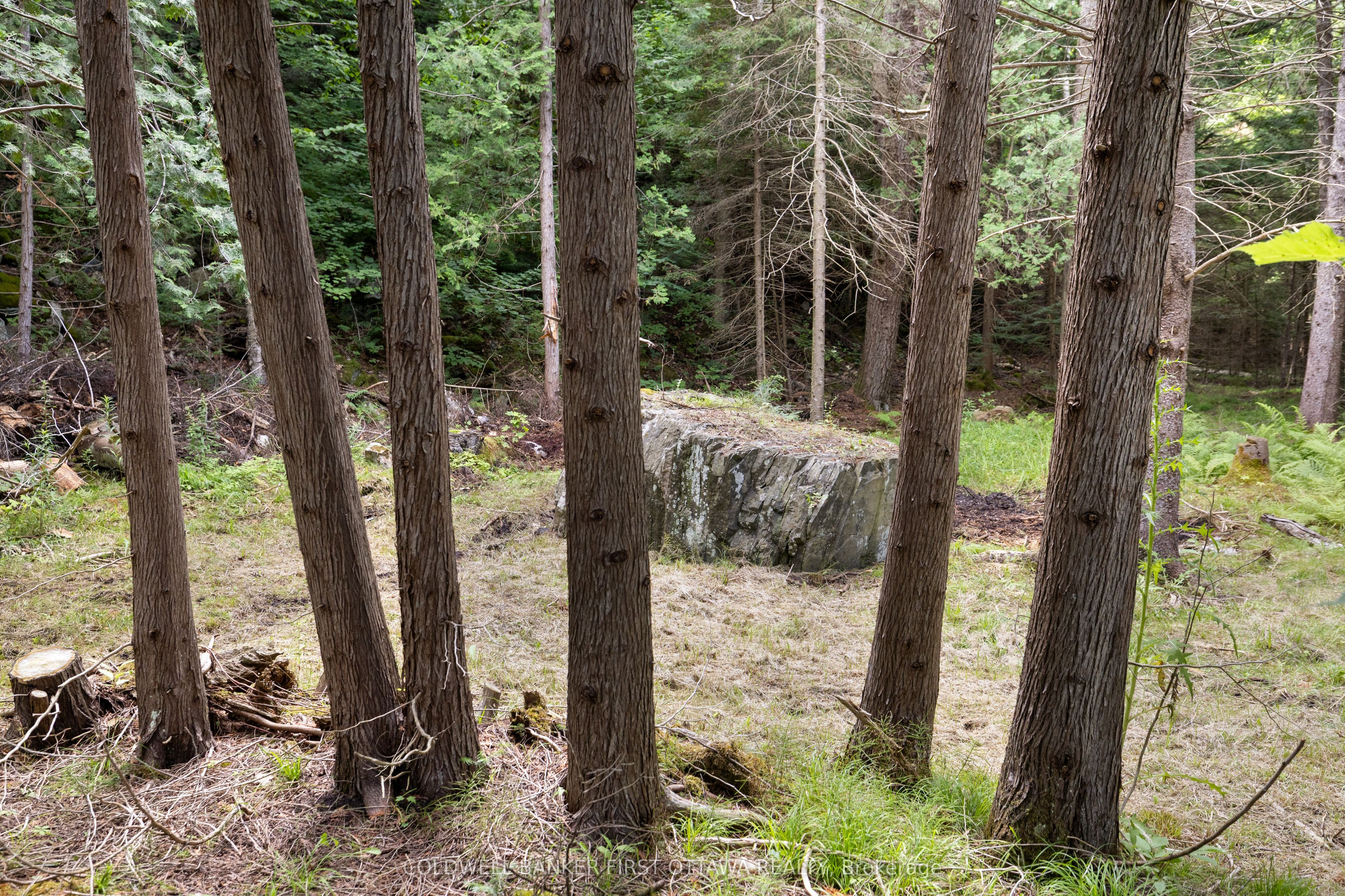 24163 Highway 7 Highway Property Photo 45