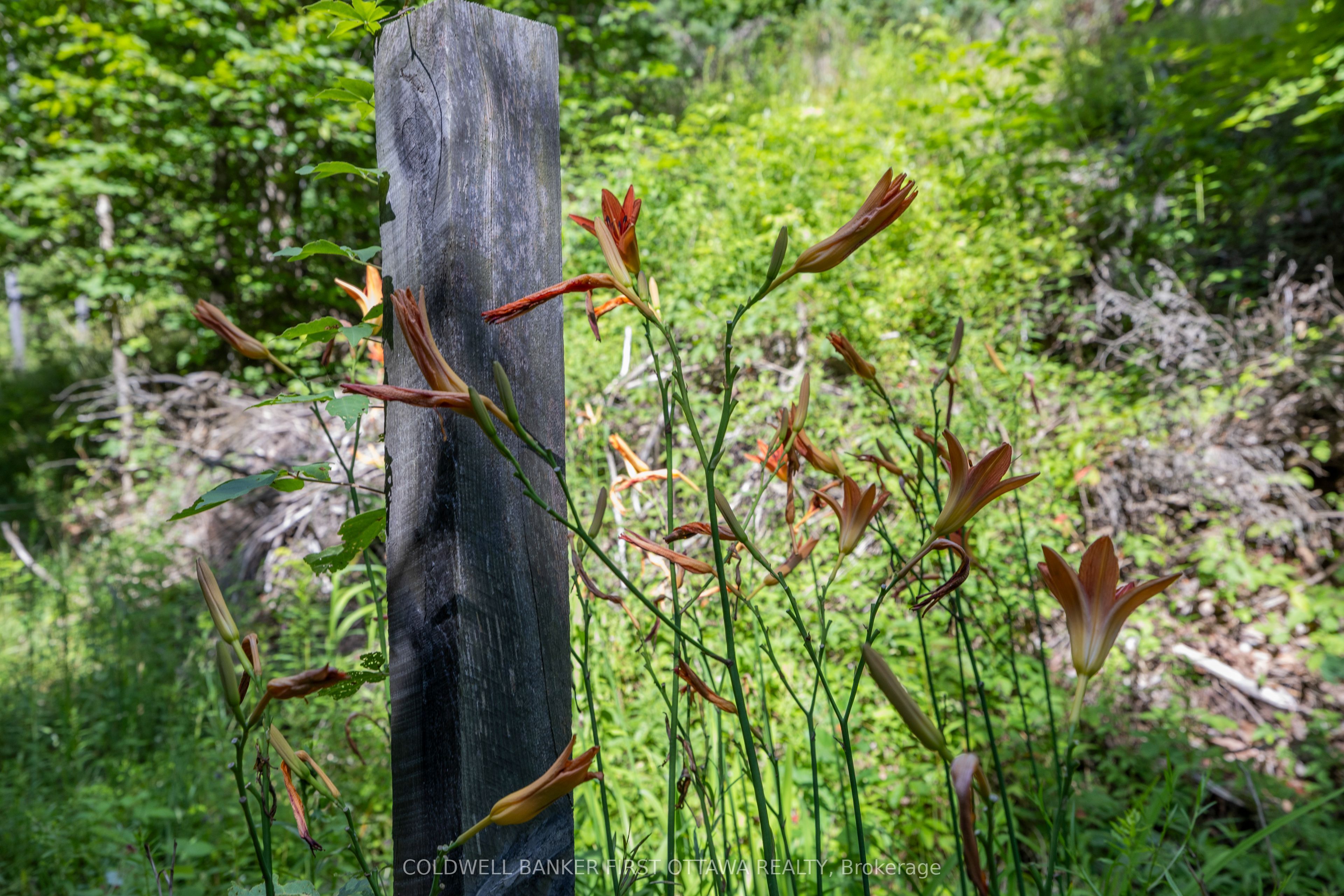 24163 Highway 7 Highway Property Photo 46