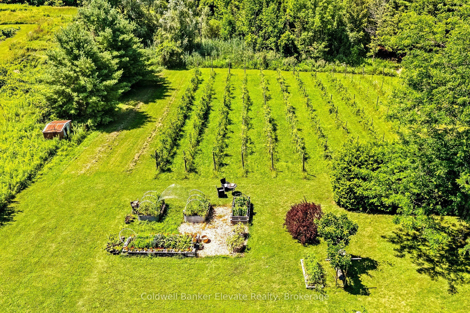 5126 Ninth Line Property Photo 34
