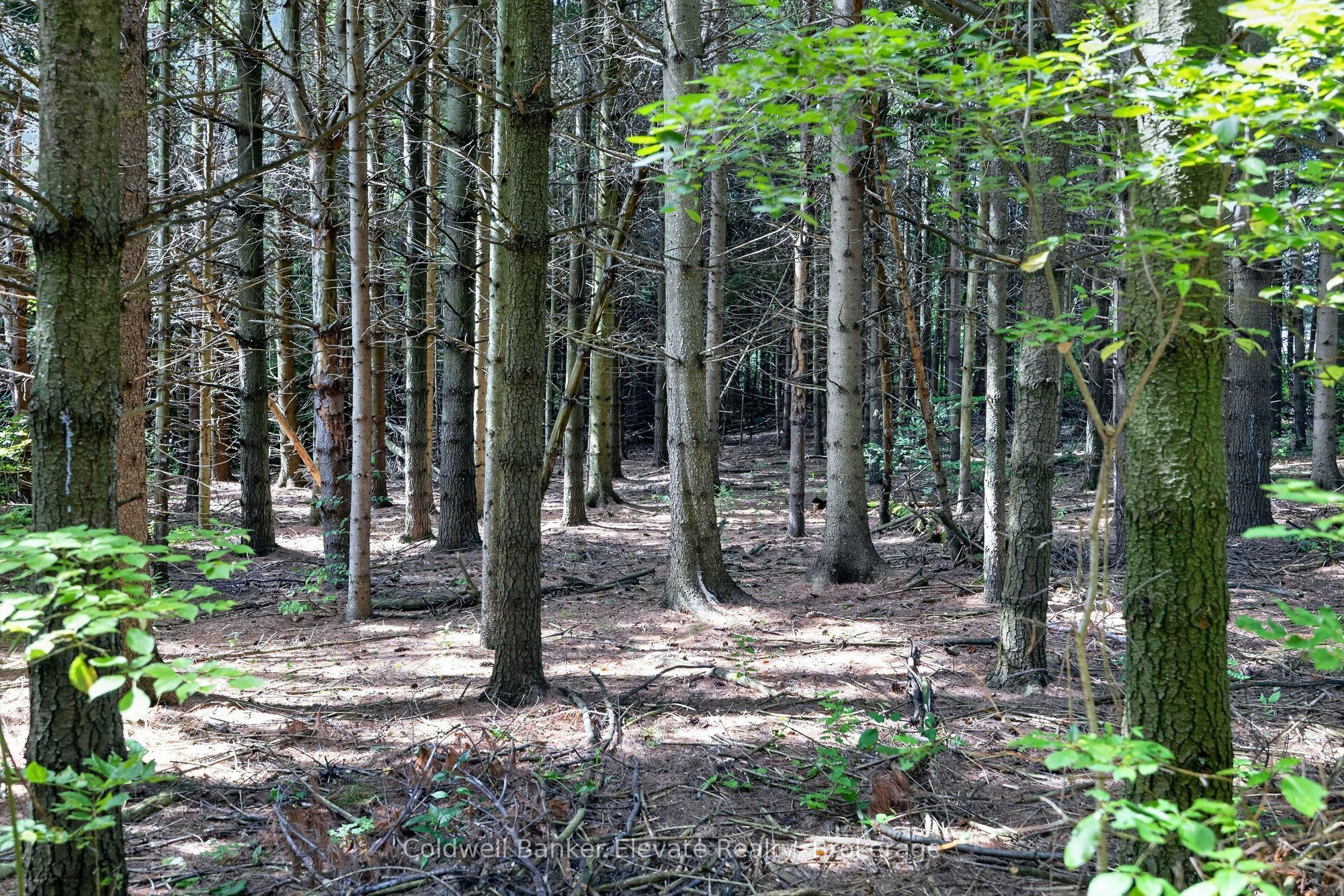 5126 Ninth Line Property Photo 39