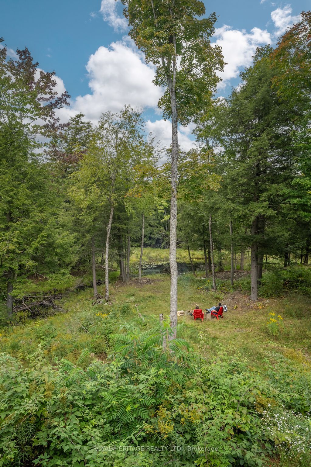 20195 62 Highway Property Photo 34