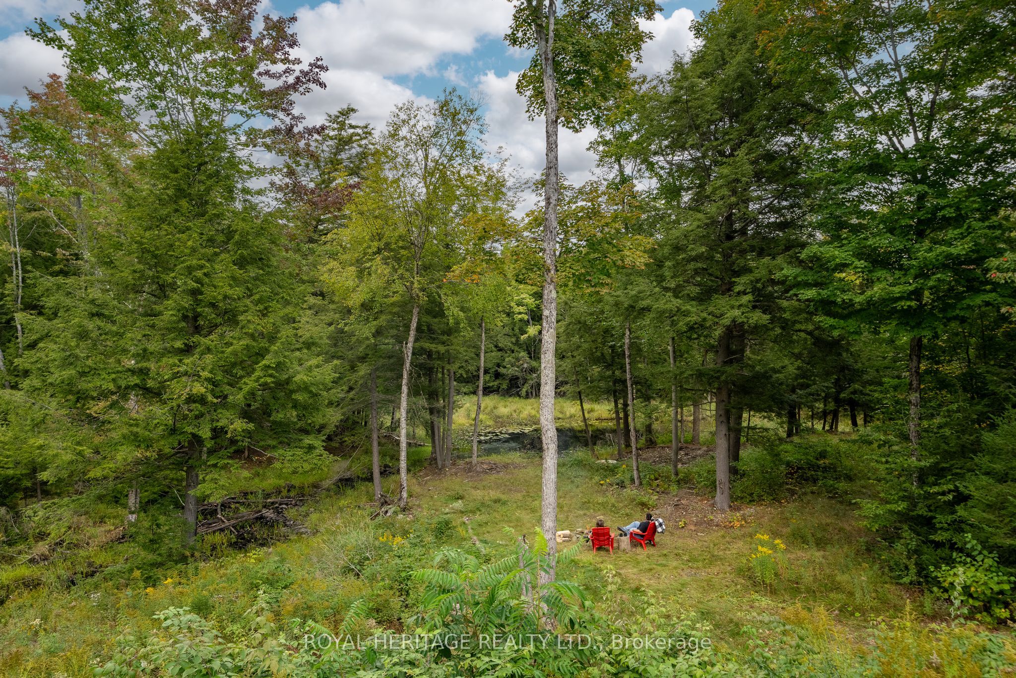 20195 62 Highway Property Photo 35