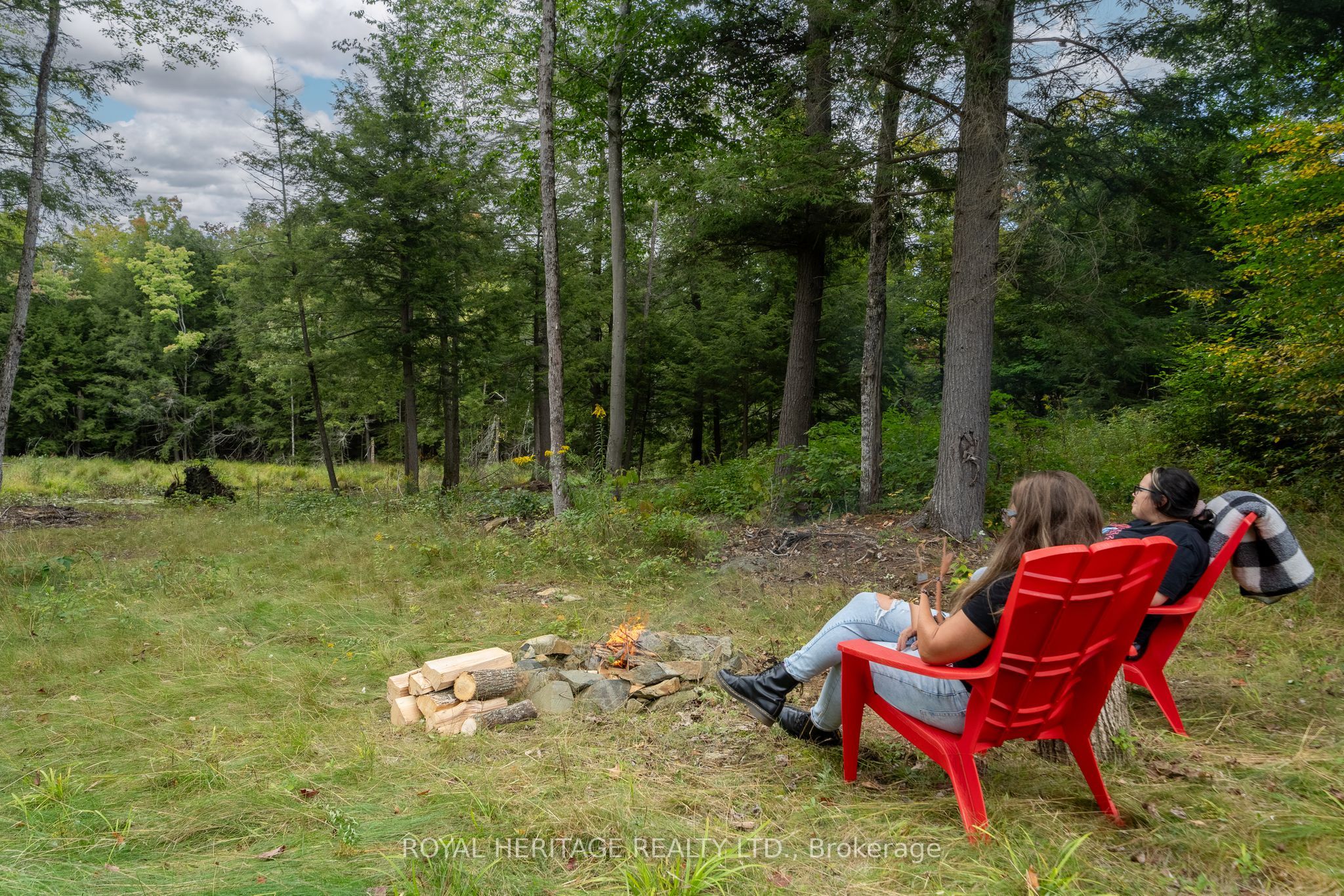 20195 62 Highway Property Photo 37