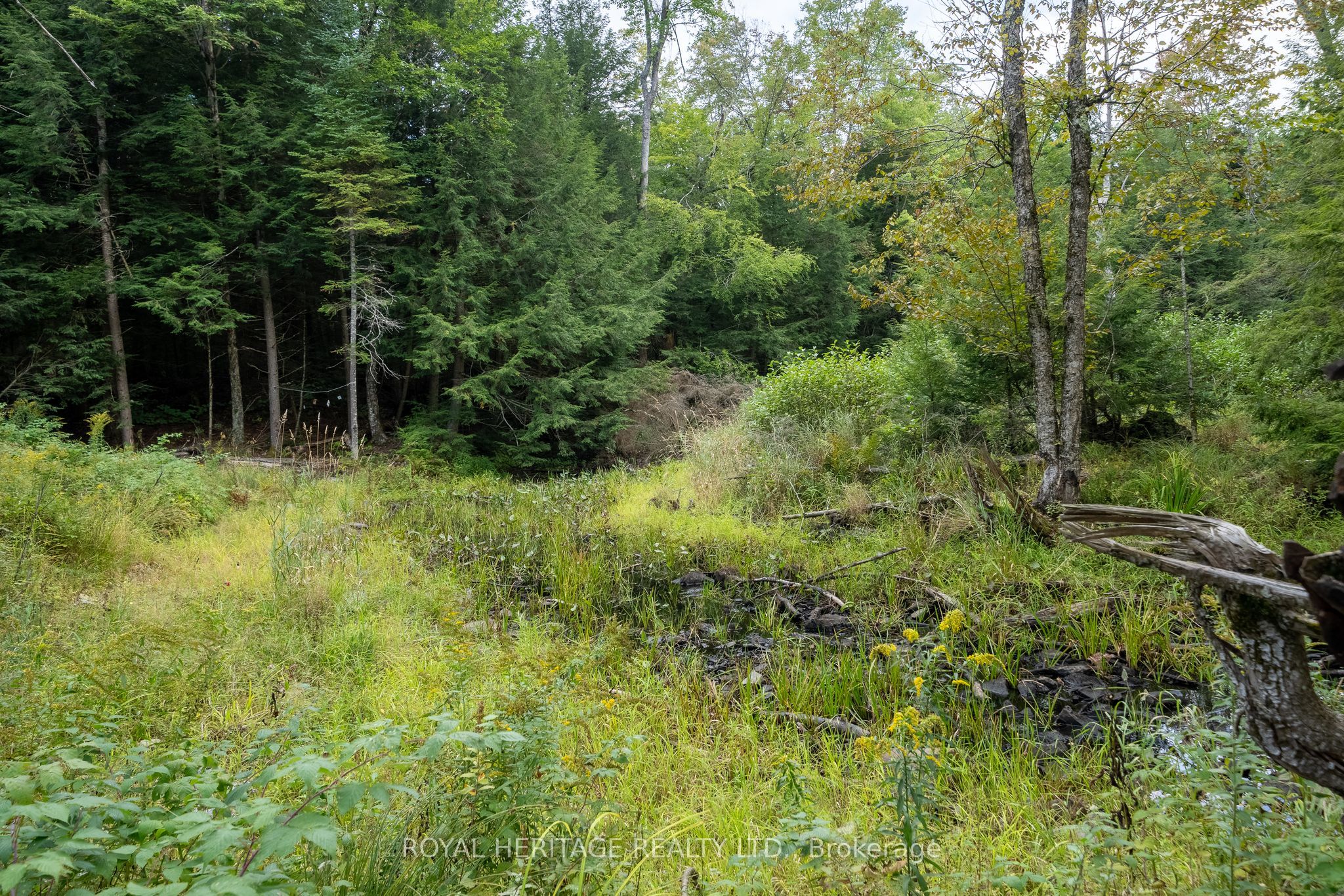 20195 62 Highway Property Photo 40