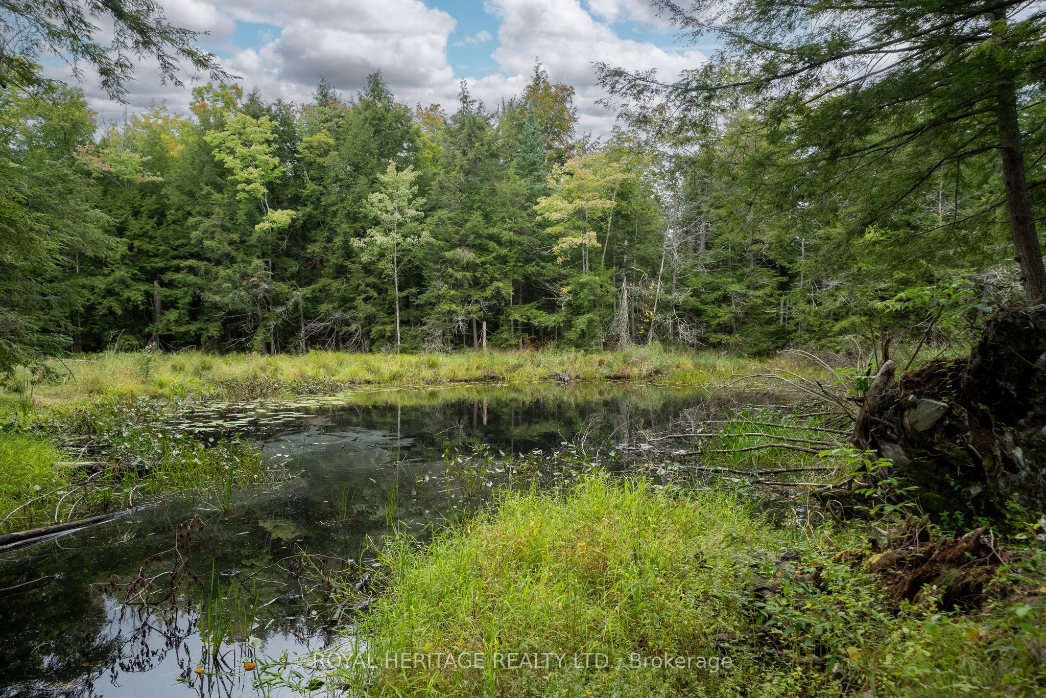 20195 62 Highway Property Photo 41
