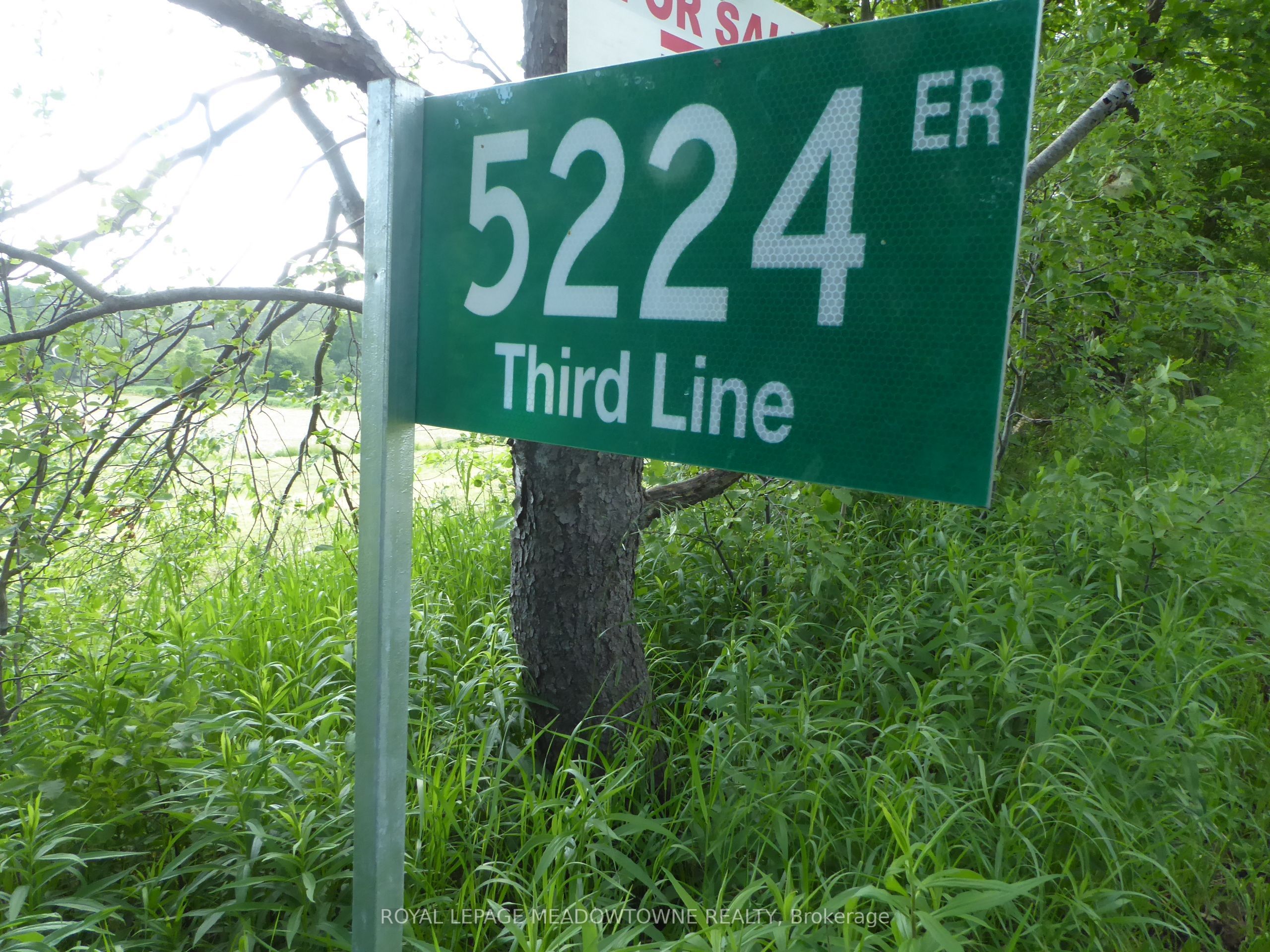 5224 Third Line Property Photo 8