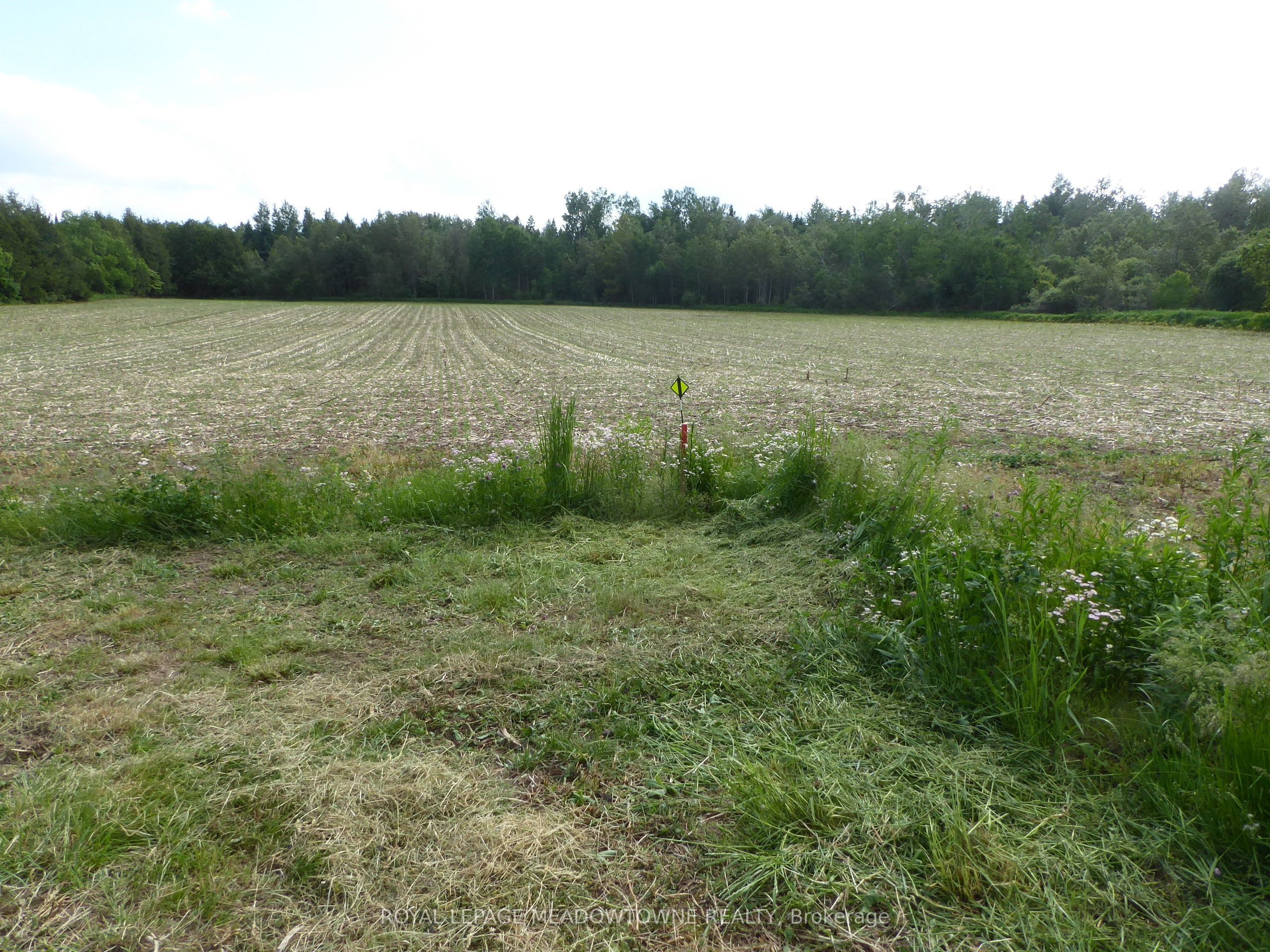 5224 Third Line Property Photo 12