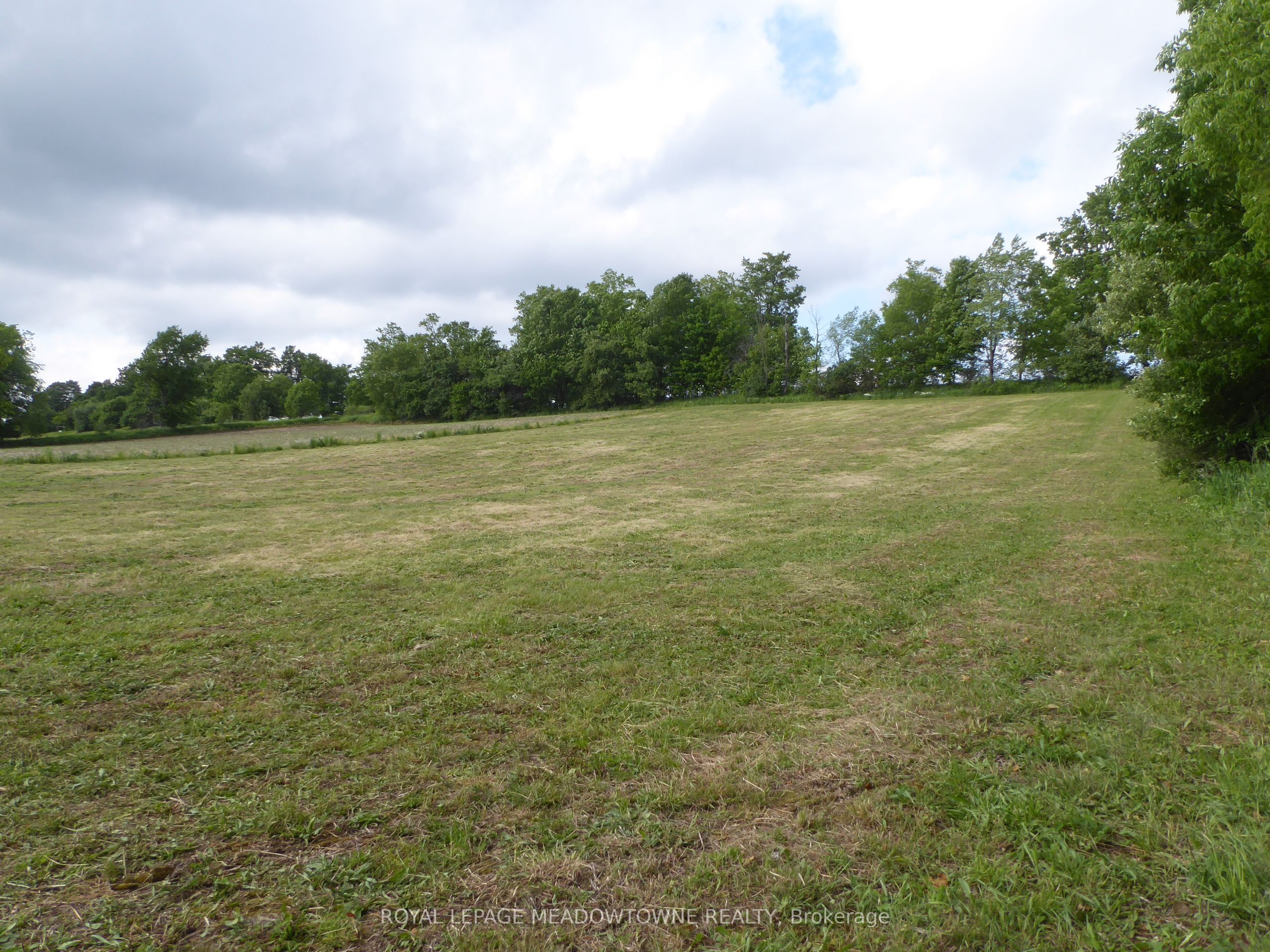 5224 Third Line Property Photo 15