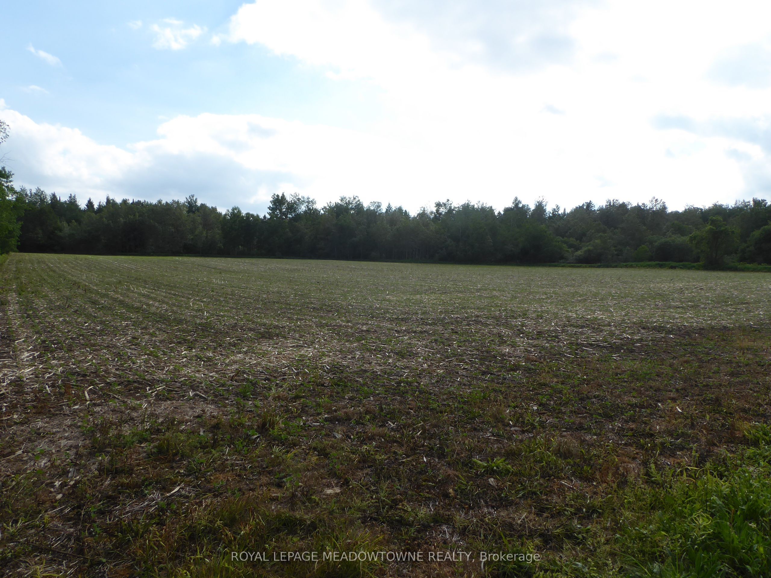 5224 Third Line Property Photo 16