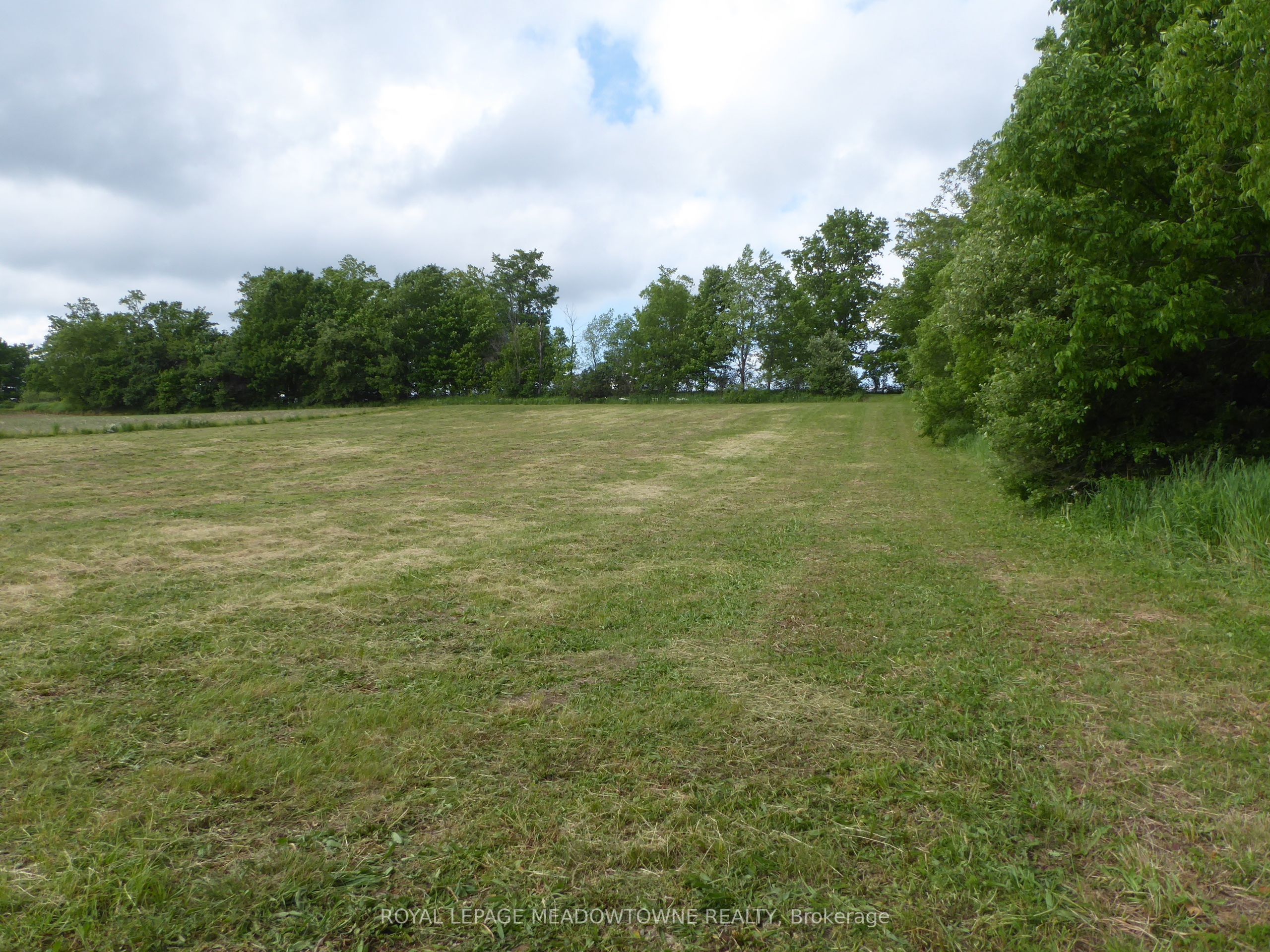 5224 Third Line Property Photo 17