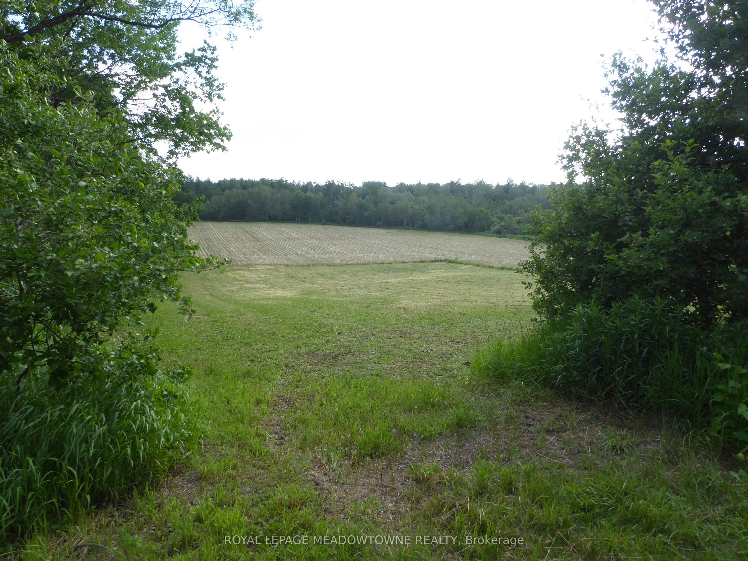 5224 Third Line Property Photo 19