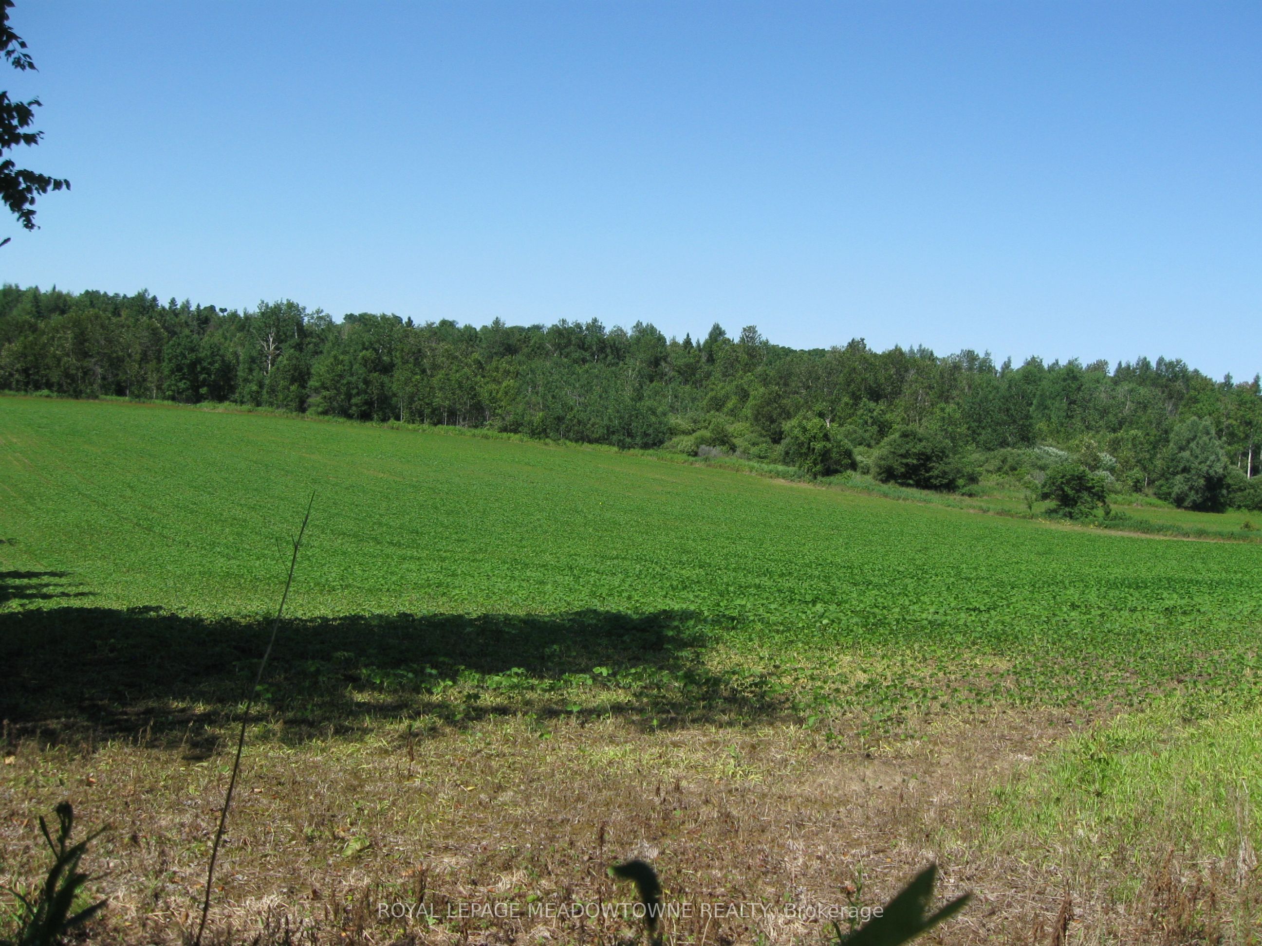 5224 Third Line Property Photo 20
