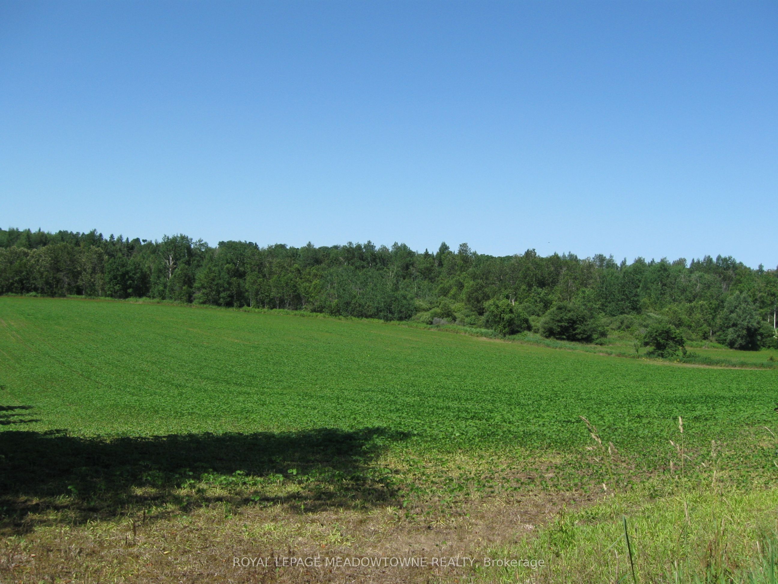 5224 Third Line Property Photo 21