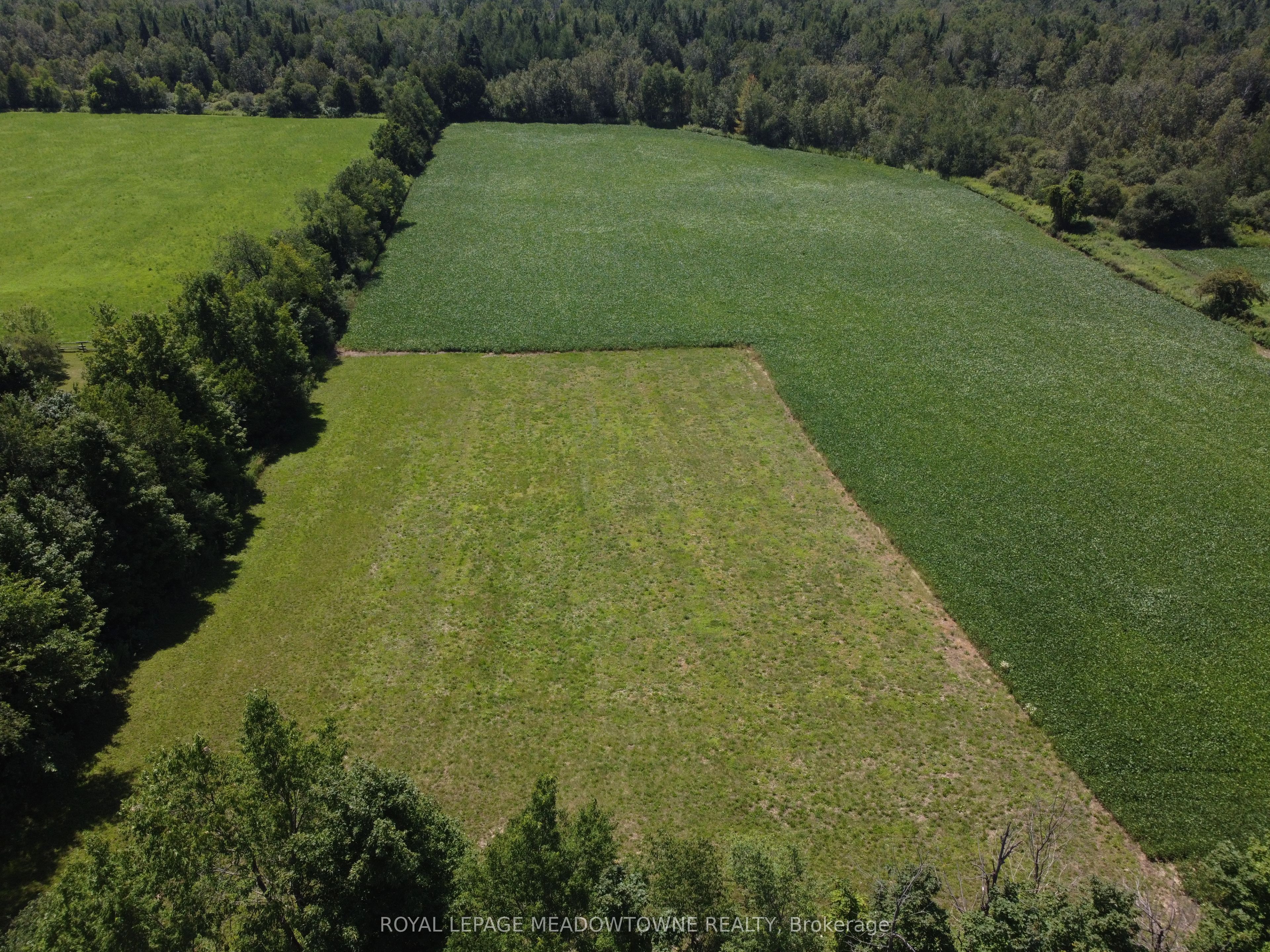 5224 Third Line Property Photo 23