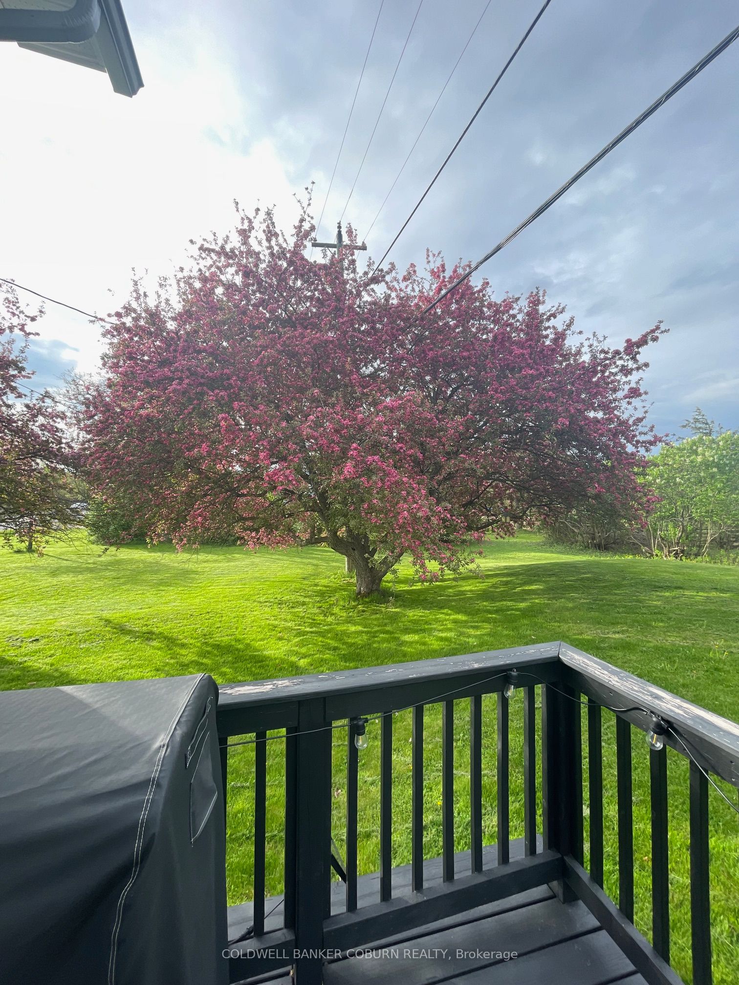 278 County Rd 29 Road Property Photo 41