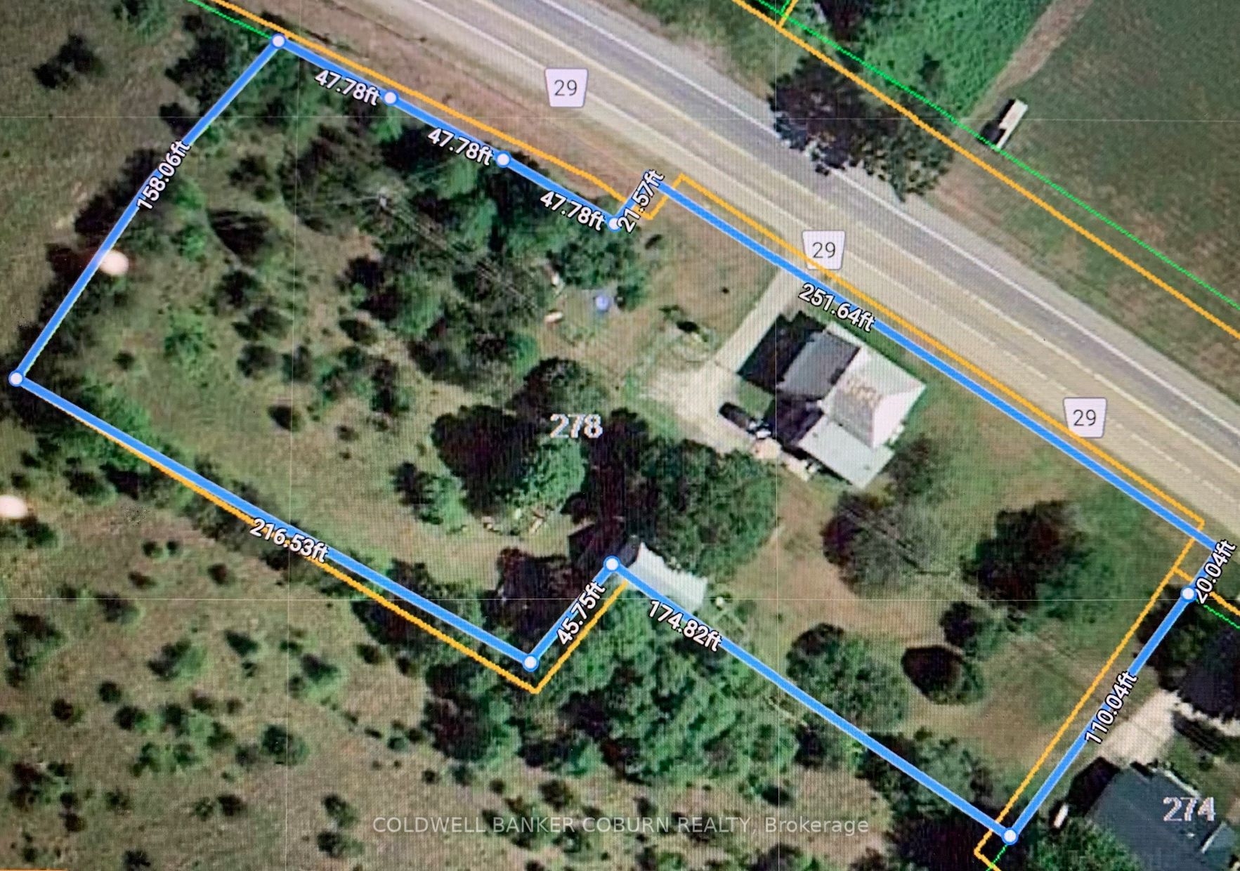278 County Rd 29 Road Property Photo 43