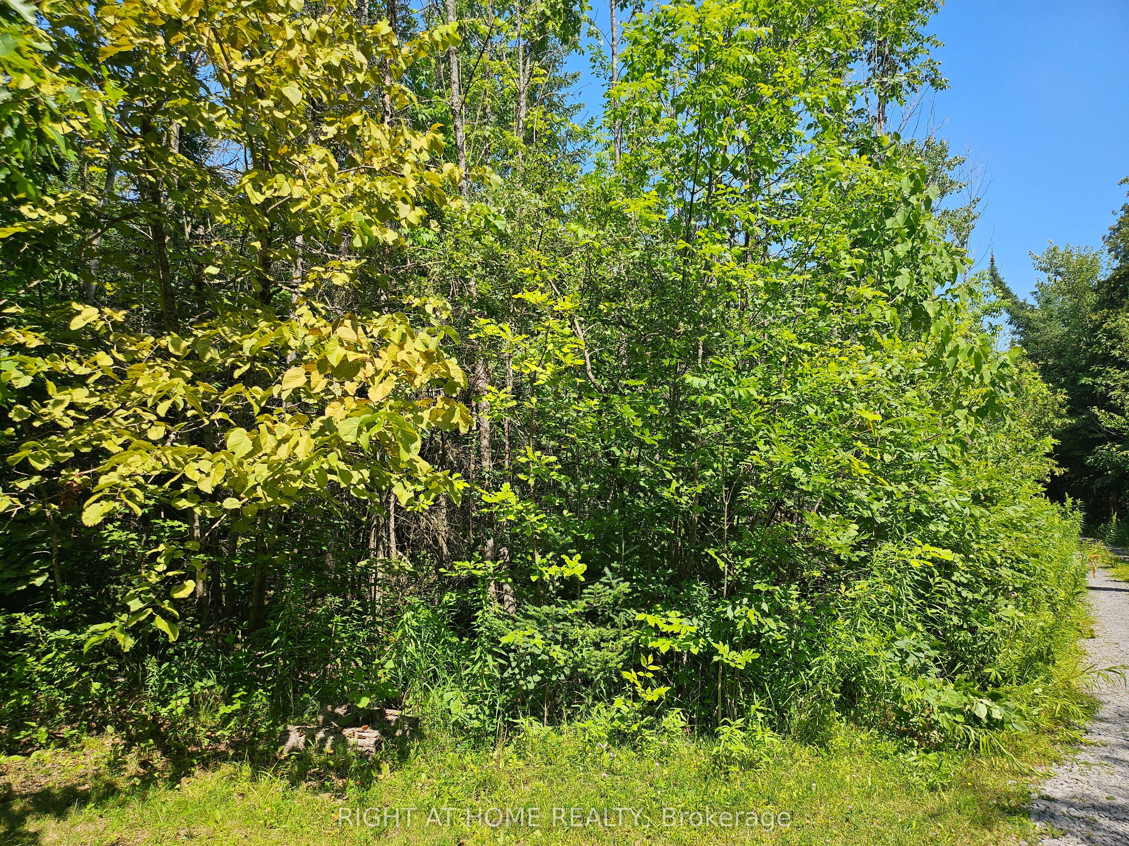 0 Shanval Lane Property Photo 5