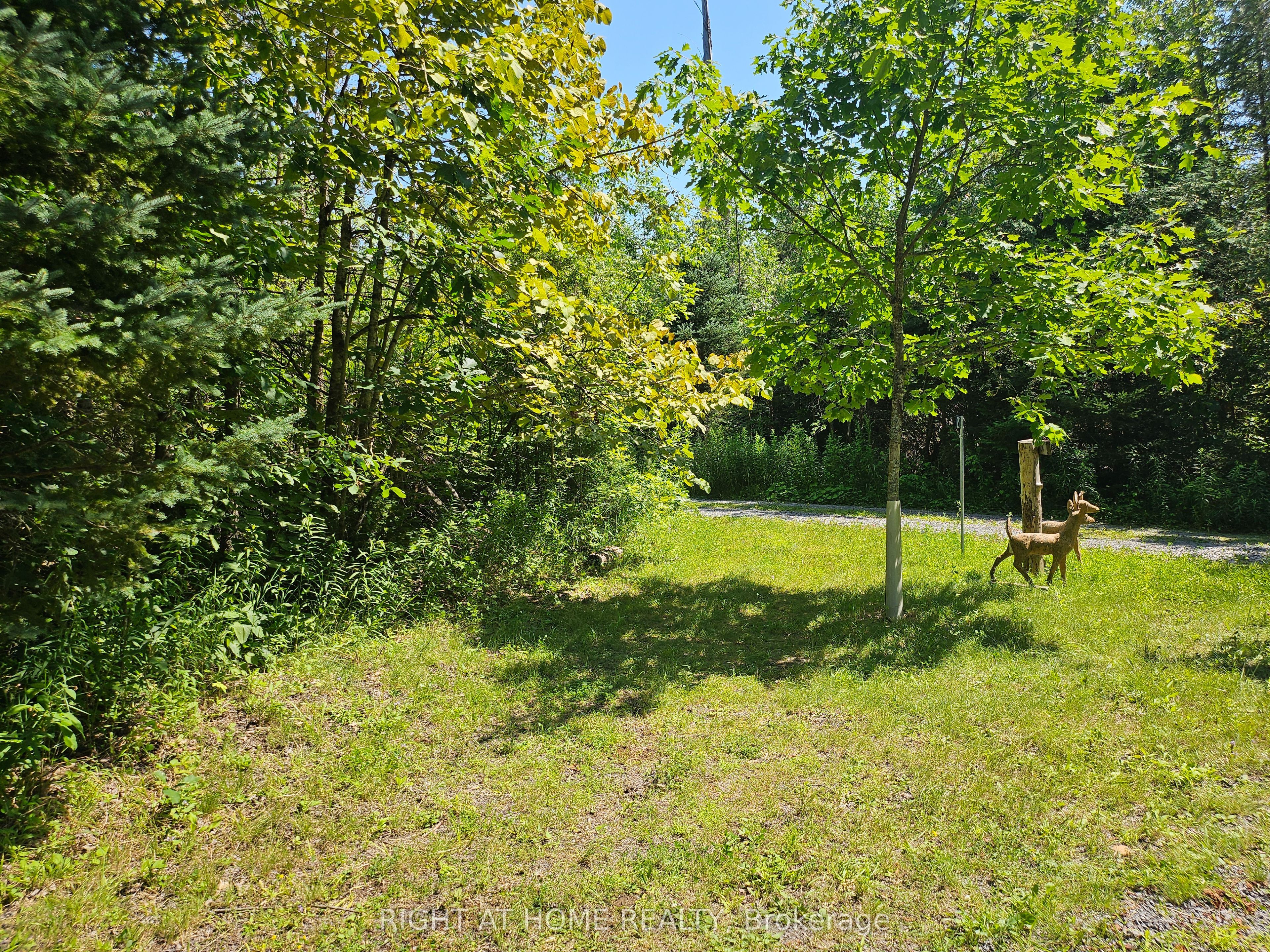 0 Shanval Lane Property Photo 6