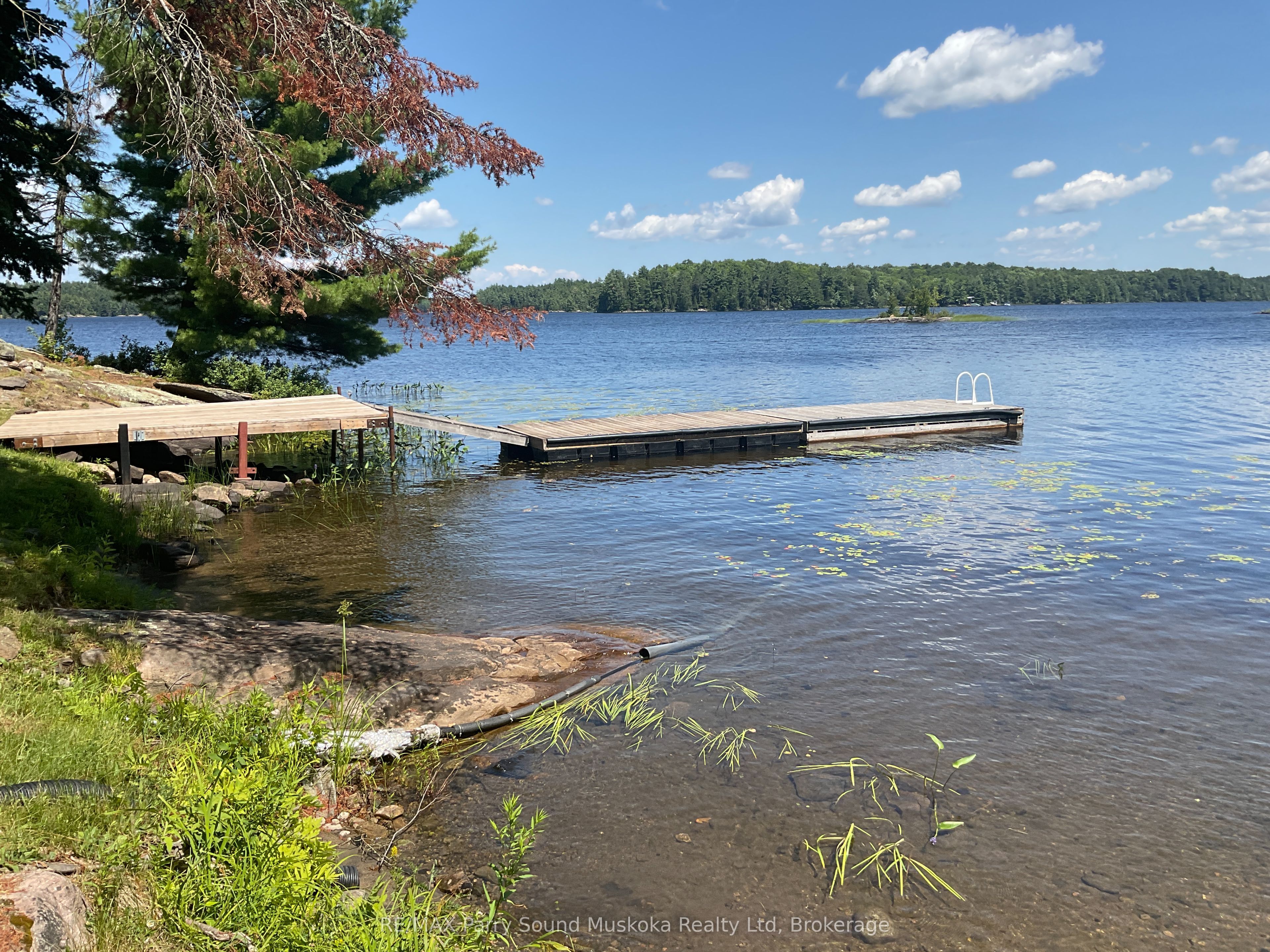 216 Lone Tree Road Property Photo 7