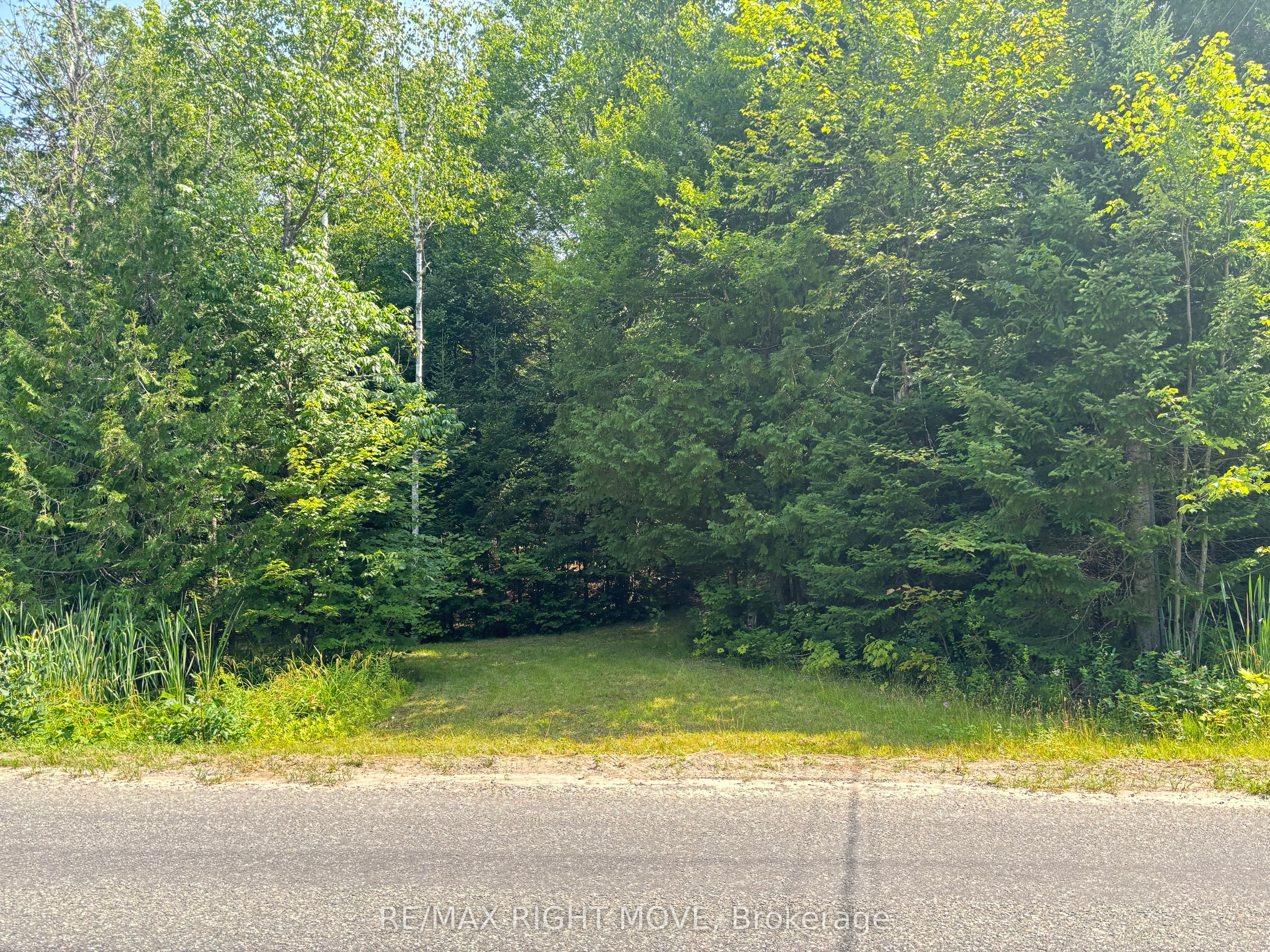 50 Sunrise Drive Property Photo 2