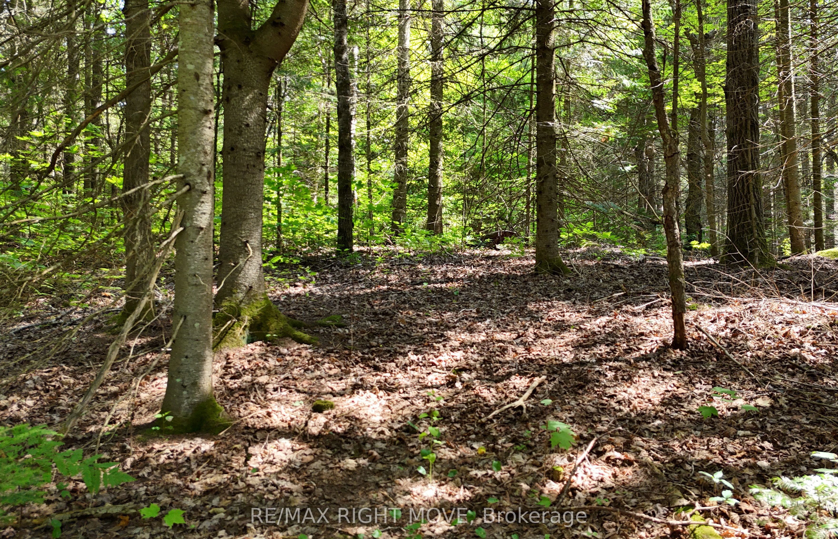 50 Sunrise Drive Property Photo 6
