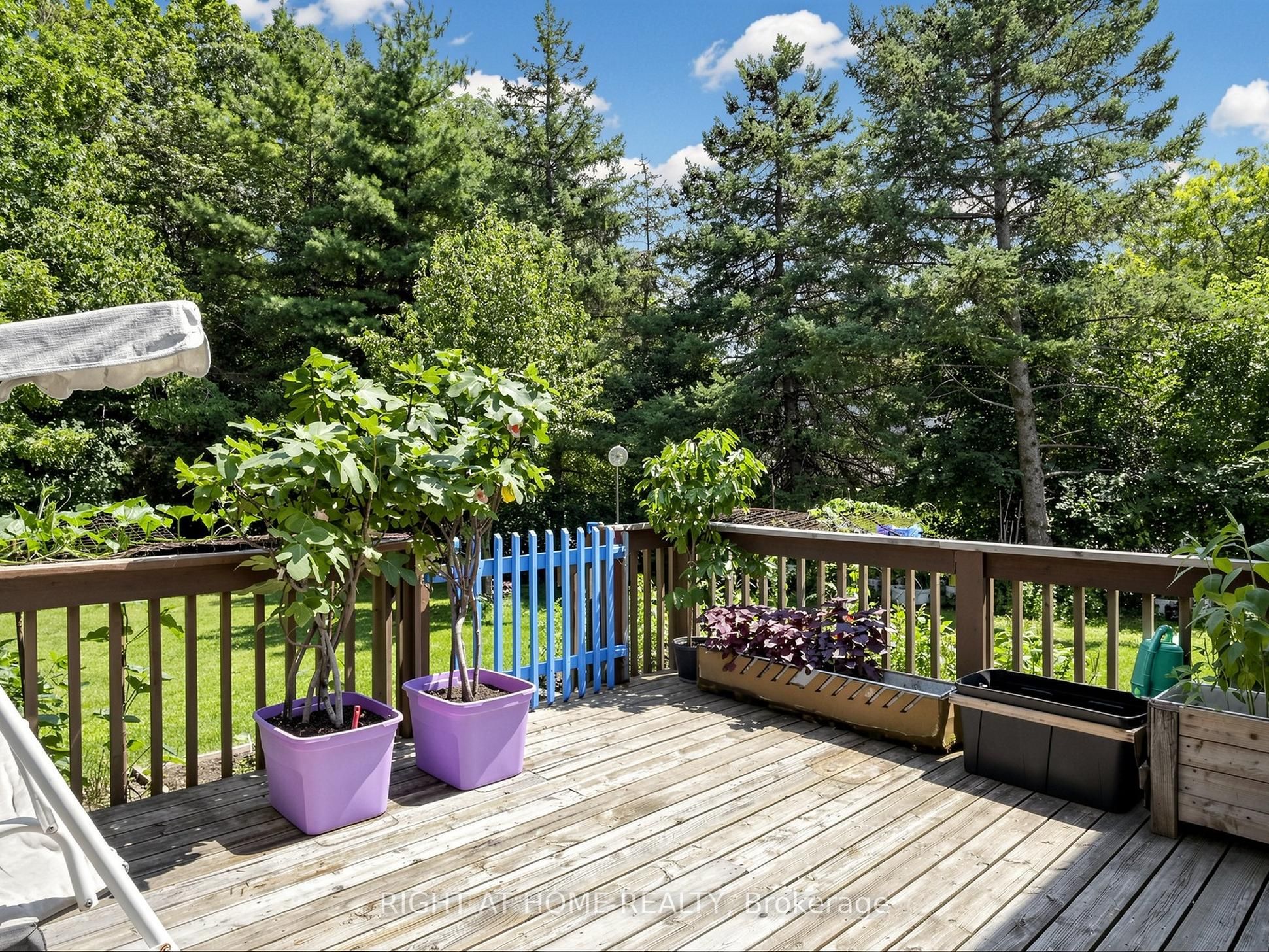 138 Strawberry Drive Property Photo 34