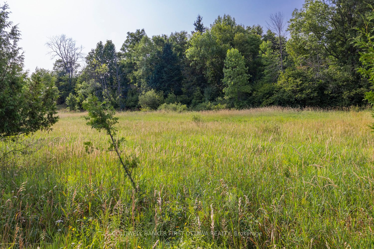 752 Bennett Lake Road Property Photo 6