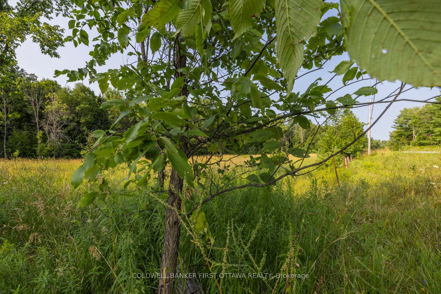 752 Bennett Lake Road Property Photo 10
