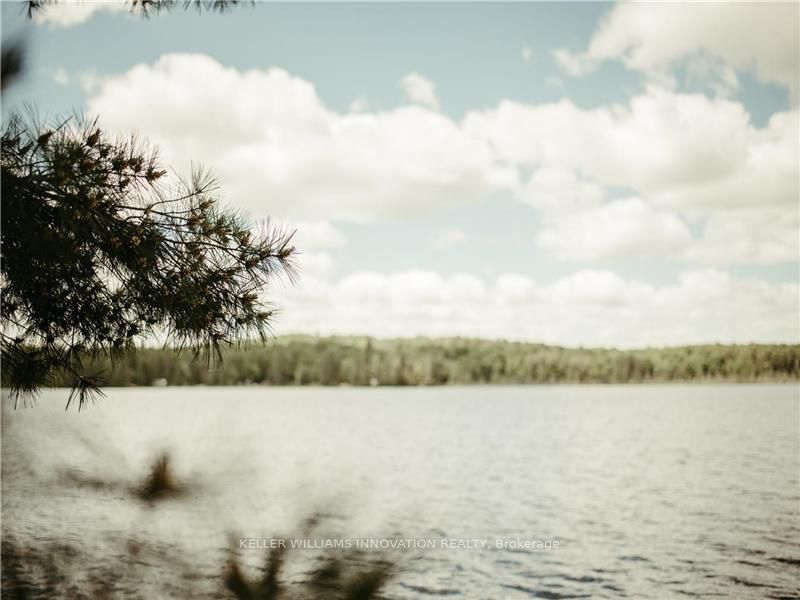 3256 Machar Strong Boundary Property Photo 5